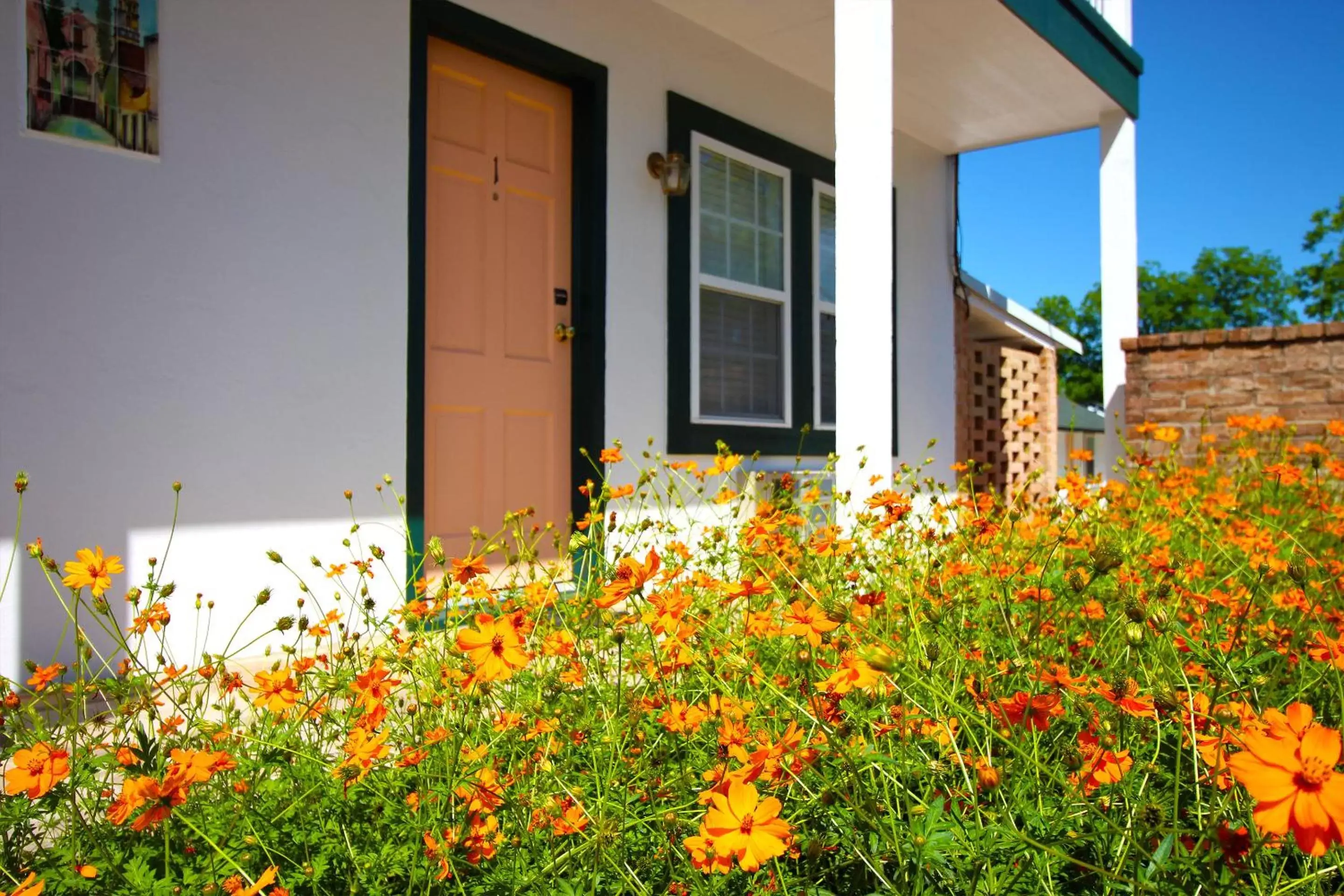 Facade/entrance, Property Building in Peach Tree Inn & Suites