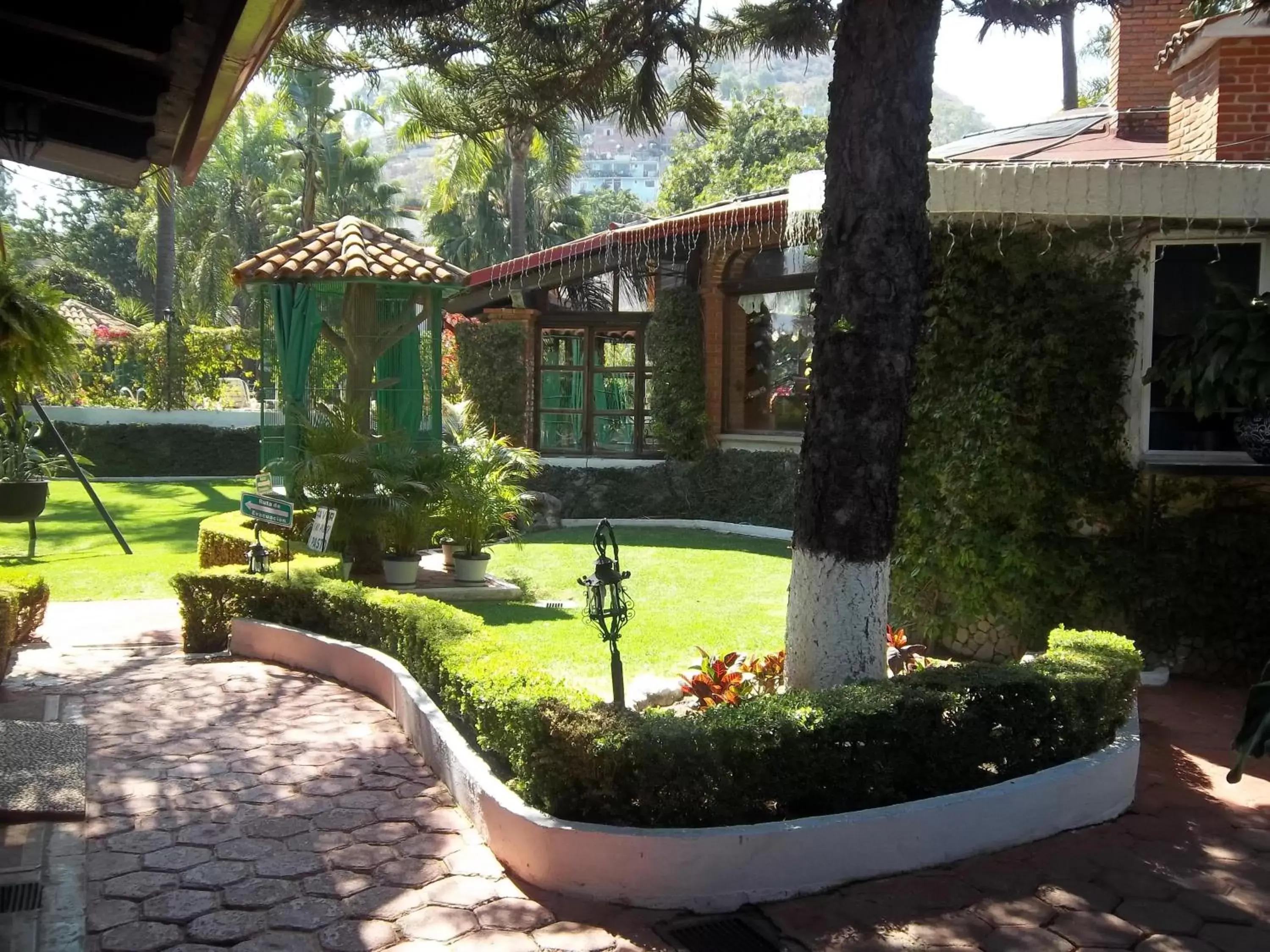 Garden in Posada Los Alcatraces