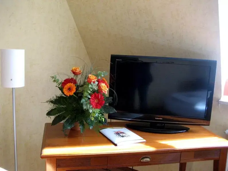 TV and multimedia, TV/Entertainment Center in Altstadthotel Schex