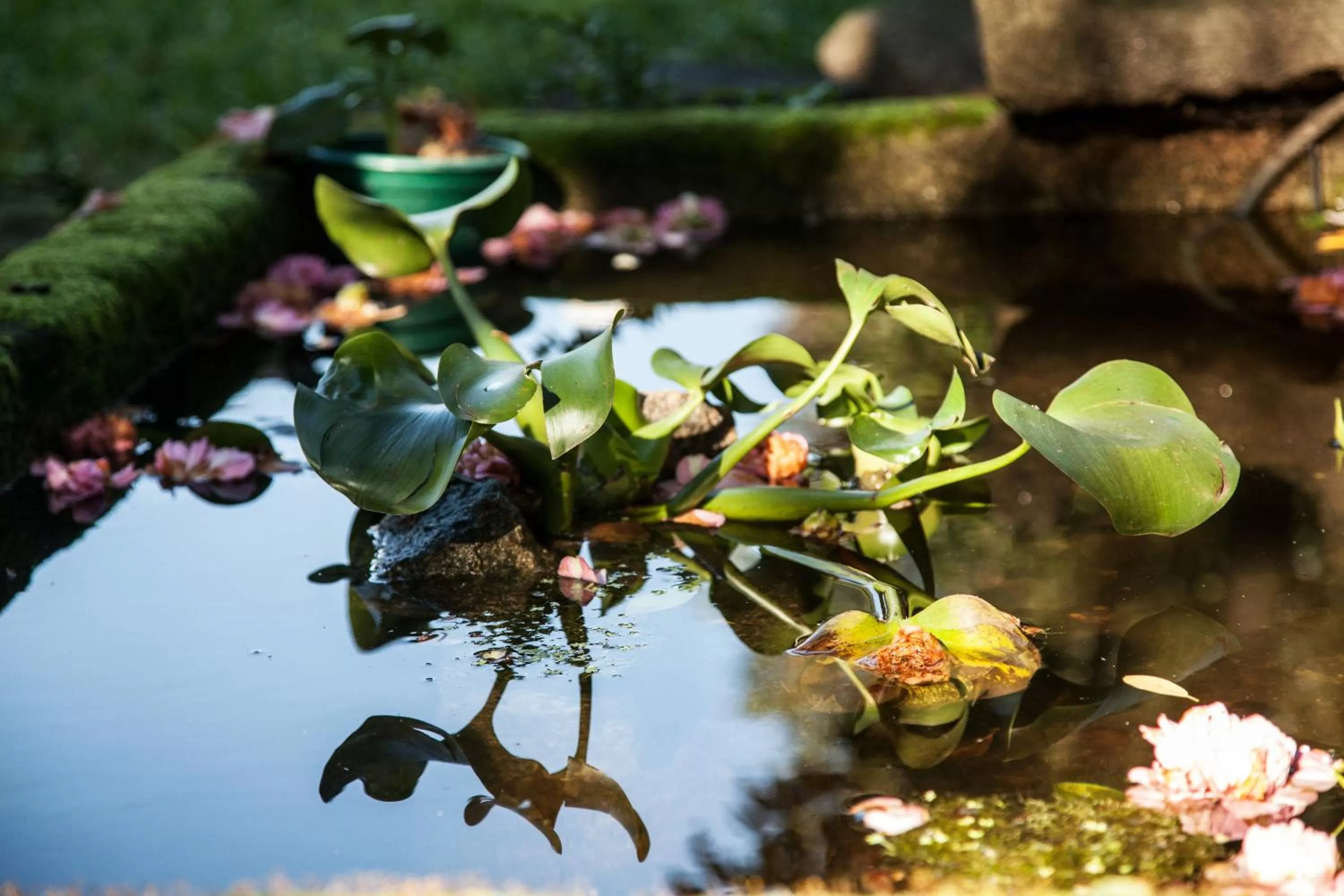 Facade/entrance in Oporto Loft