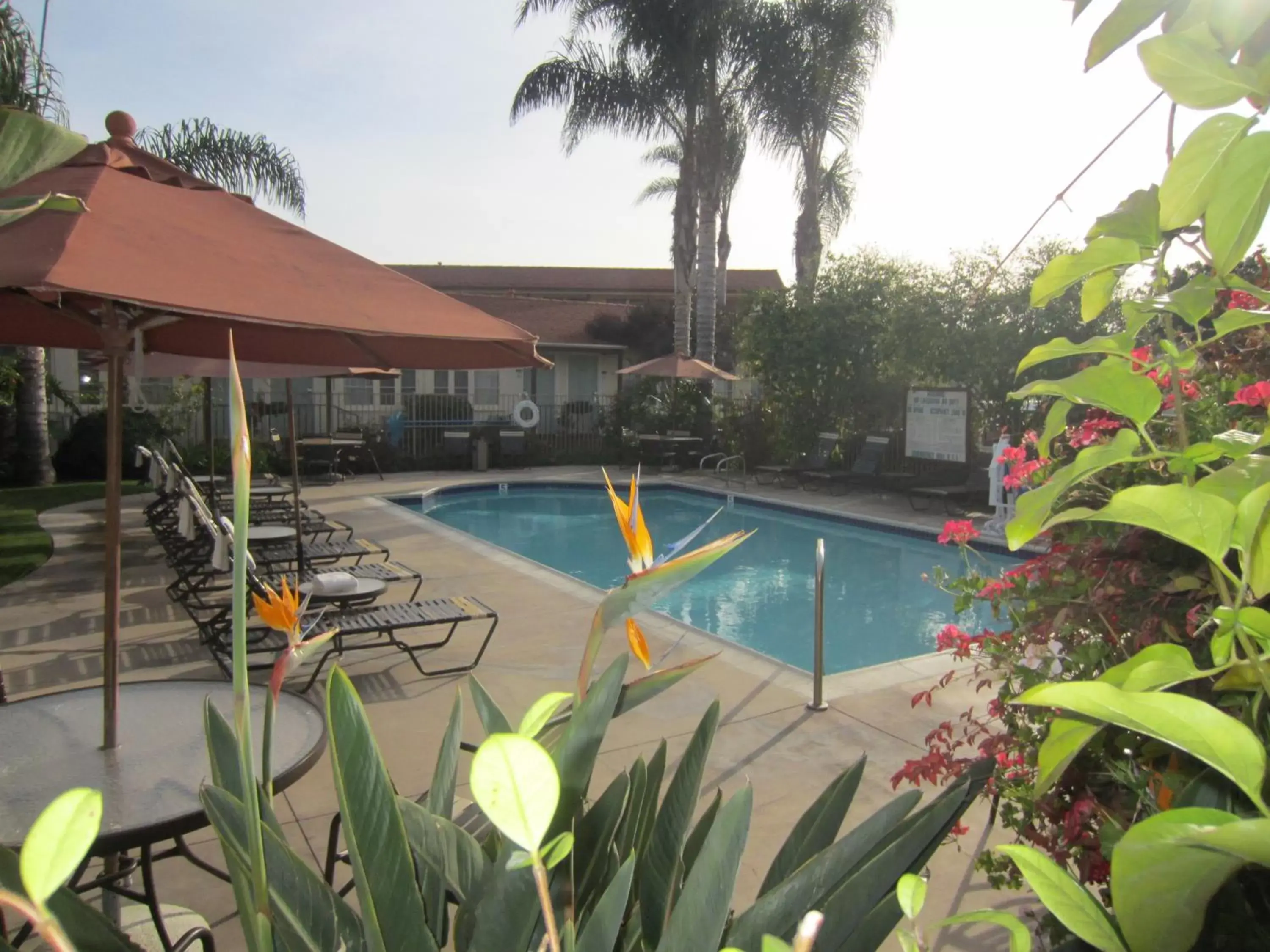 Swimming Pool in Old Town Inn