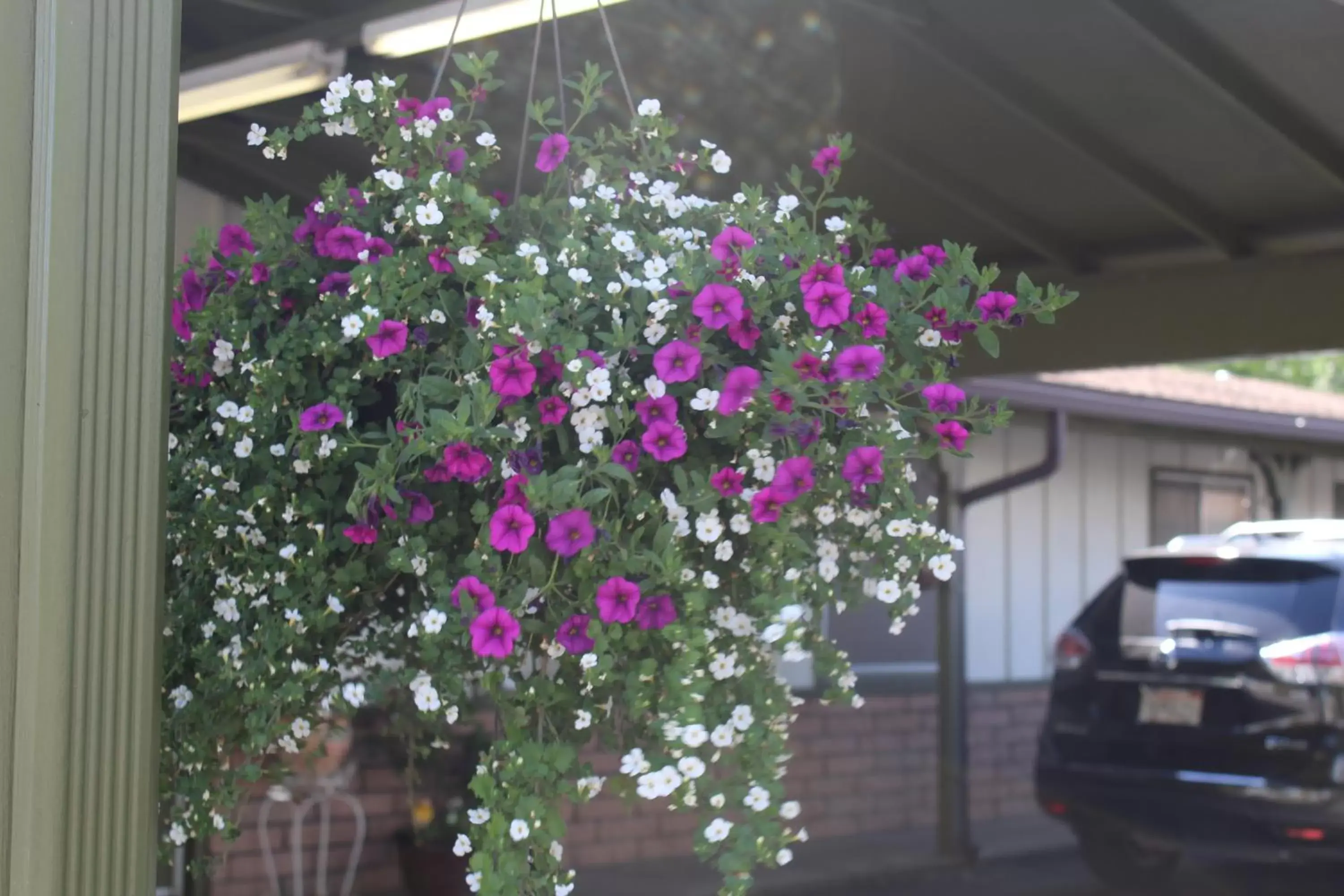 Decorative detail in El Rancho Motel