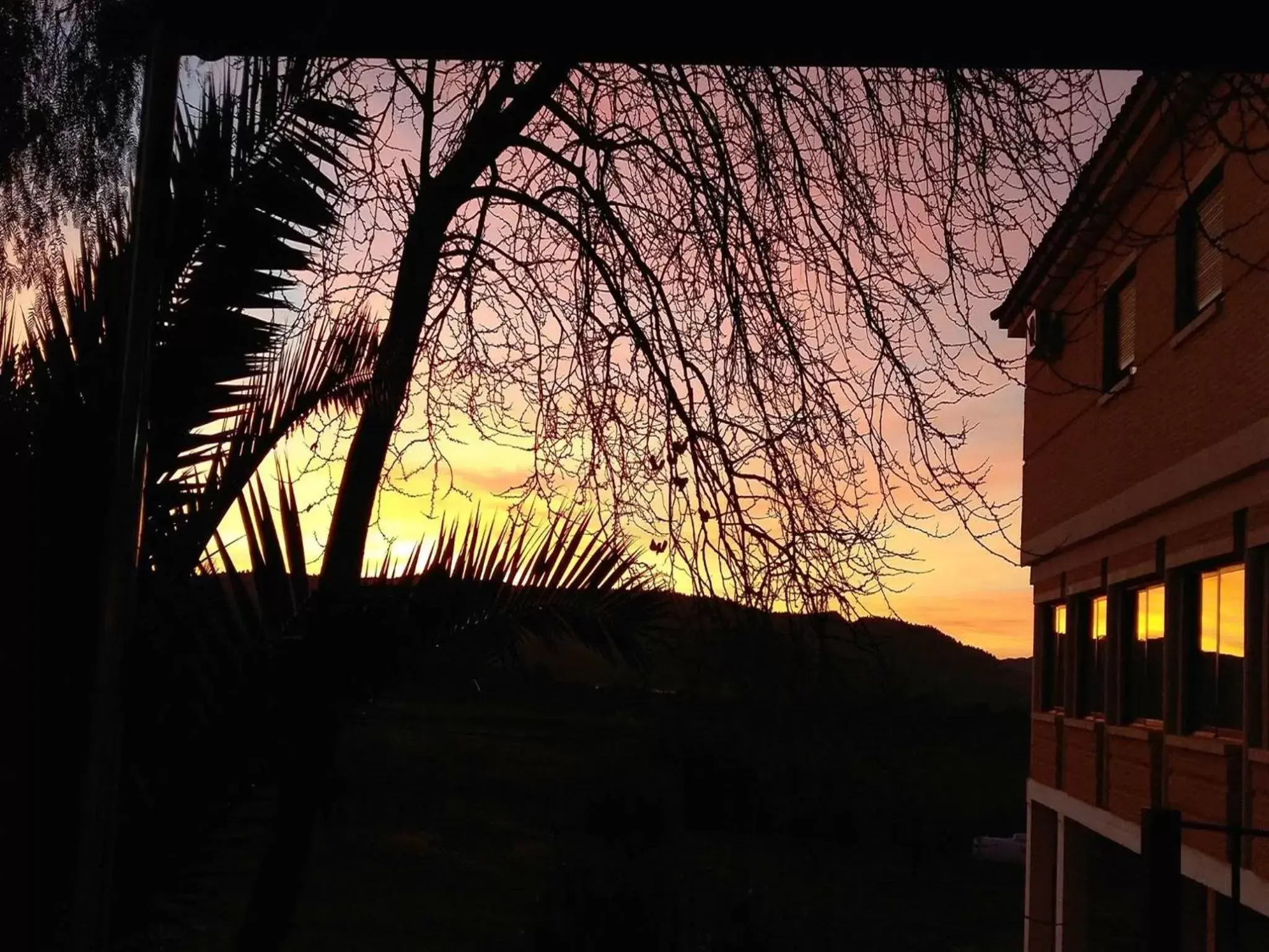 Facade/entrance, Sunrise/Sunset in Hotel Argos