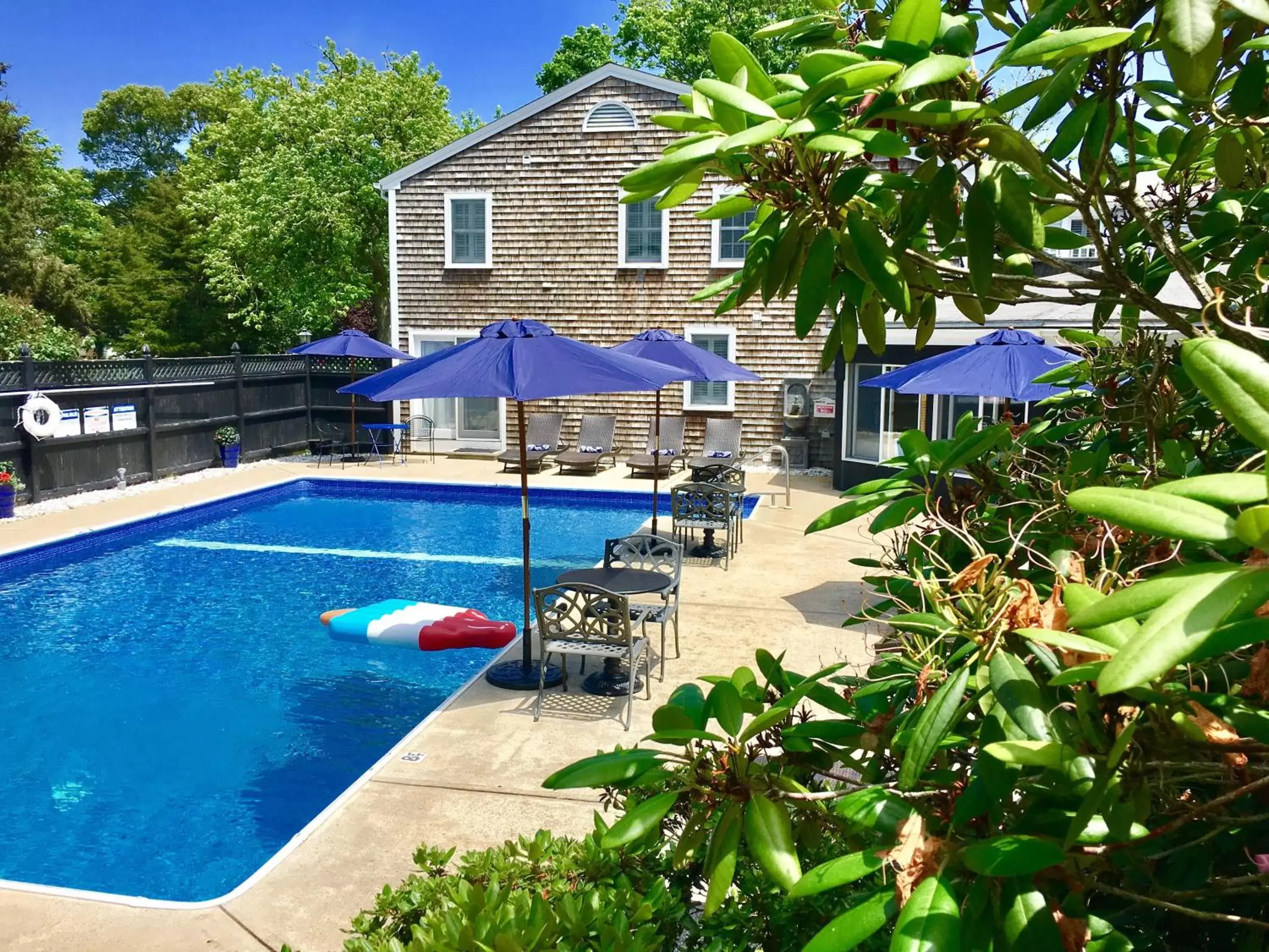 Activities, Swimming Pool in The Platinum Pebble Boutique Inn - Adults Only Property