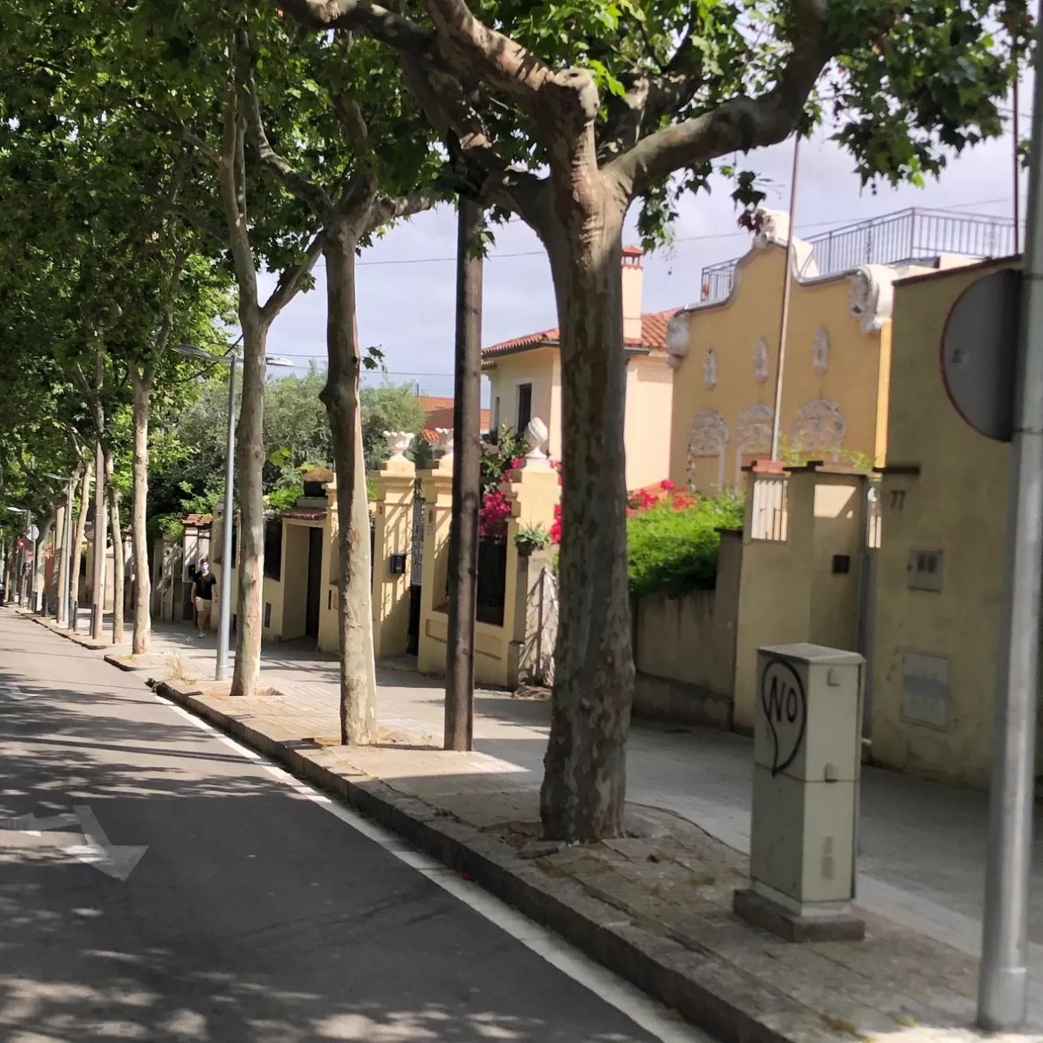 Neighbourhood in Colors