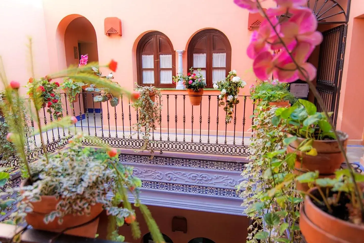 Patio in Patio de La Alameda