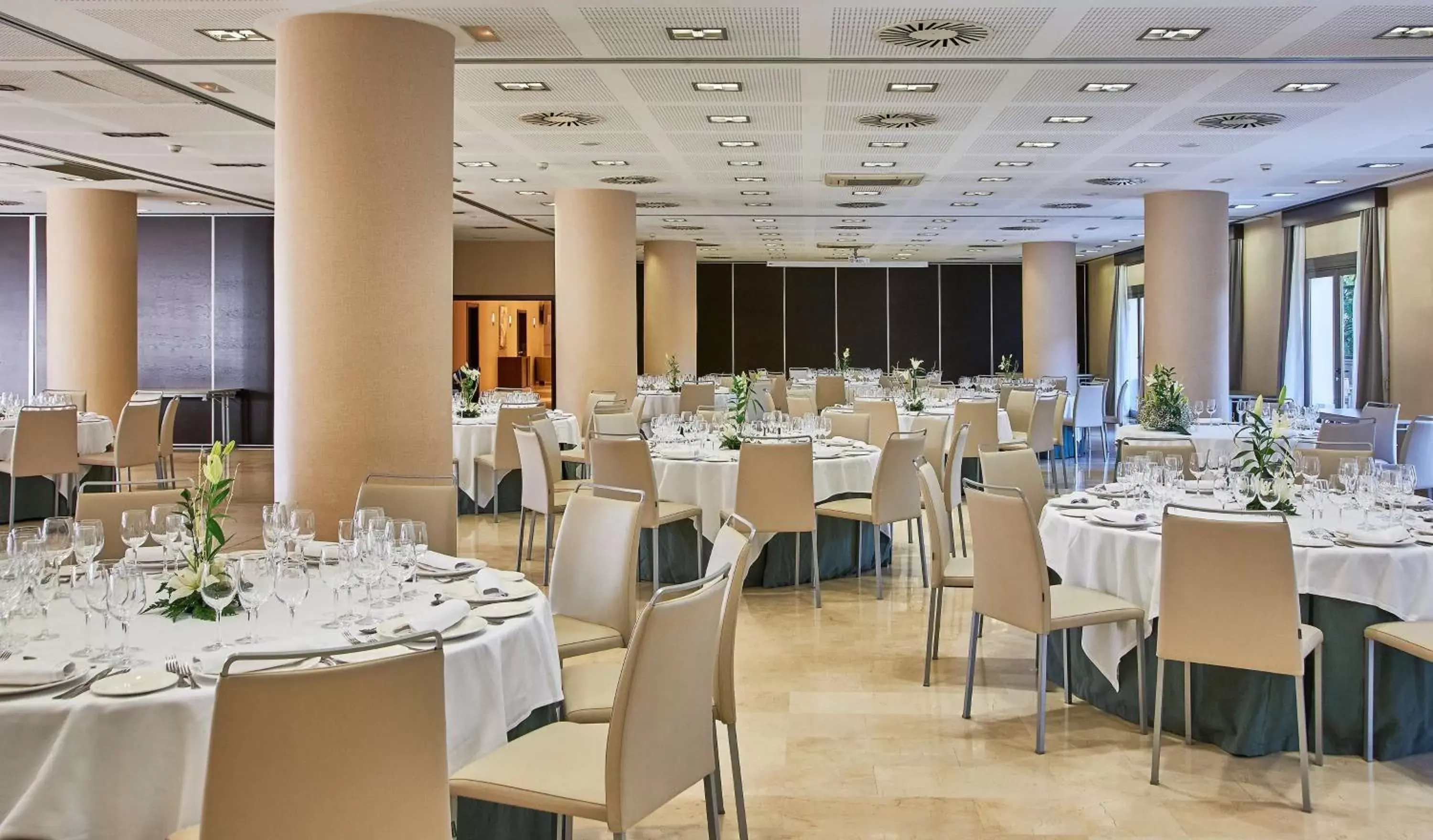 Meeting/conference room, Restaurant/Places to Eat in NH Alicante