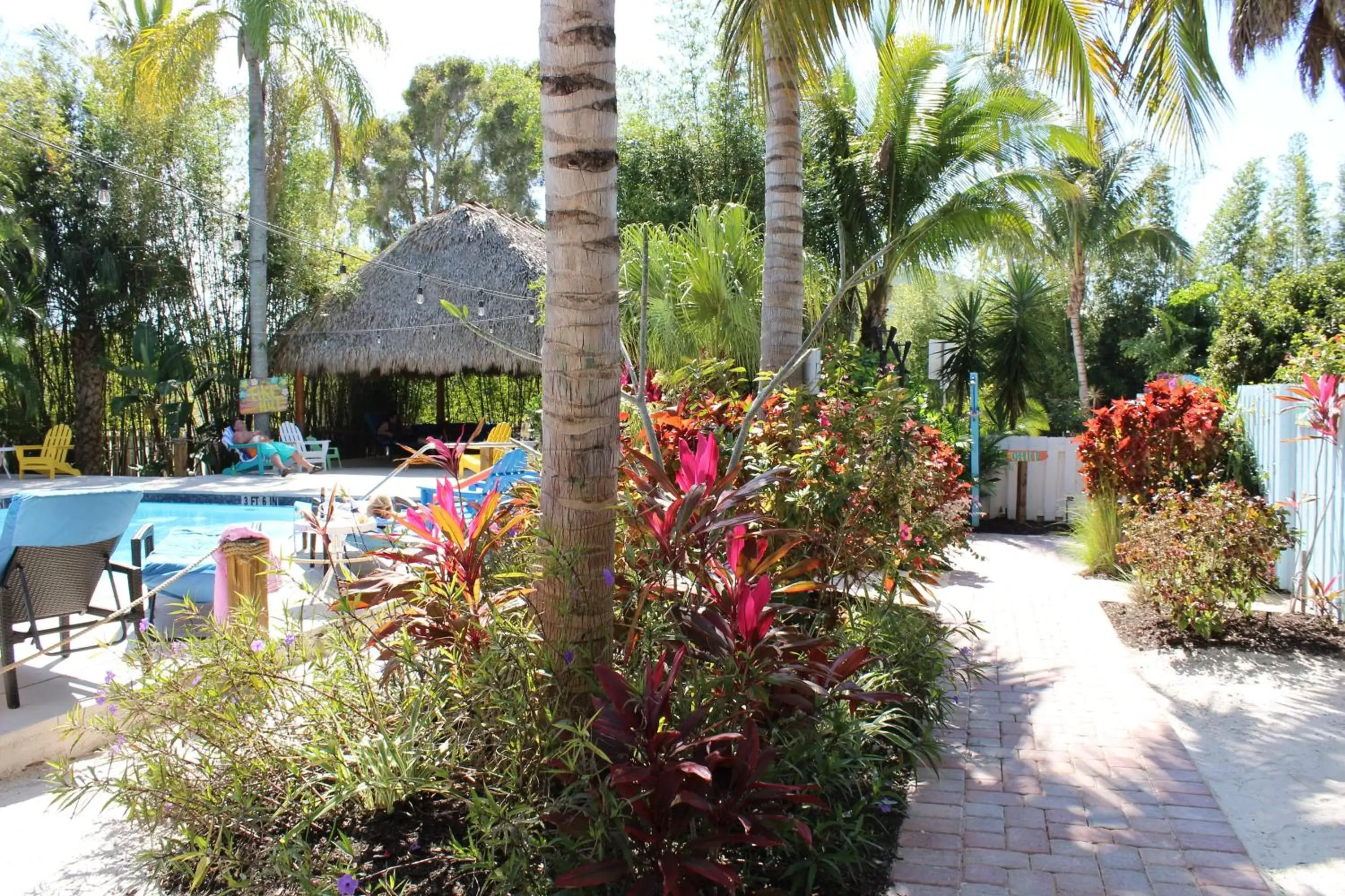 Garden, Swimming Pool in Siesta Key Palms Resort