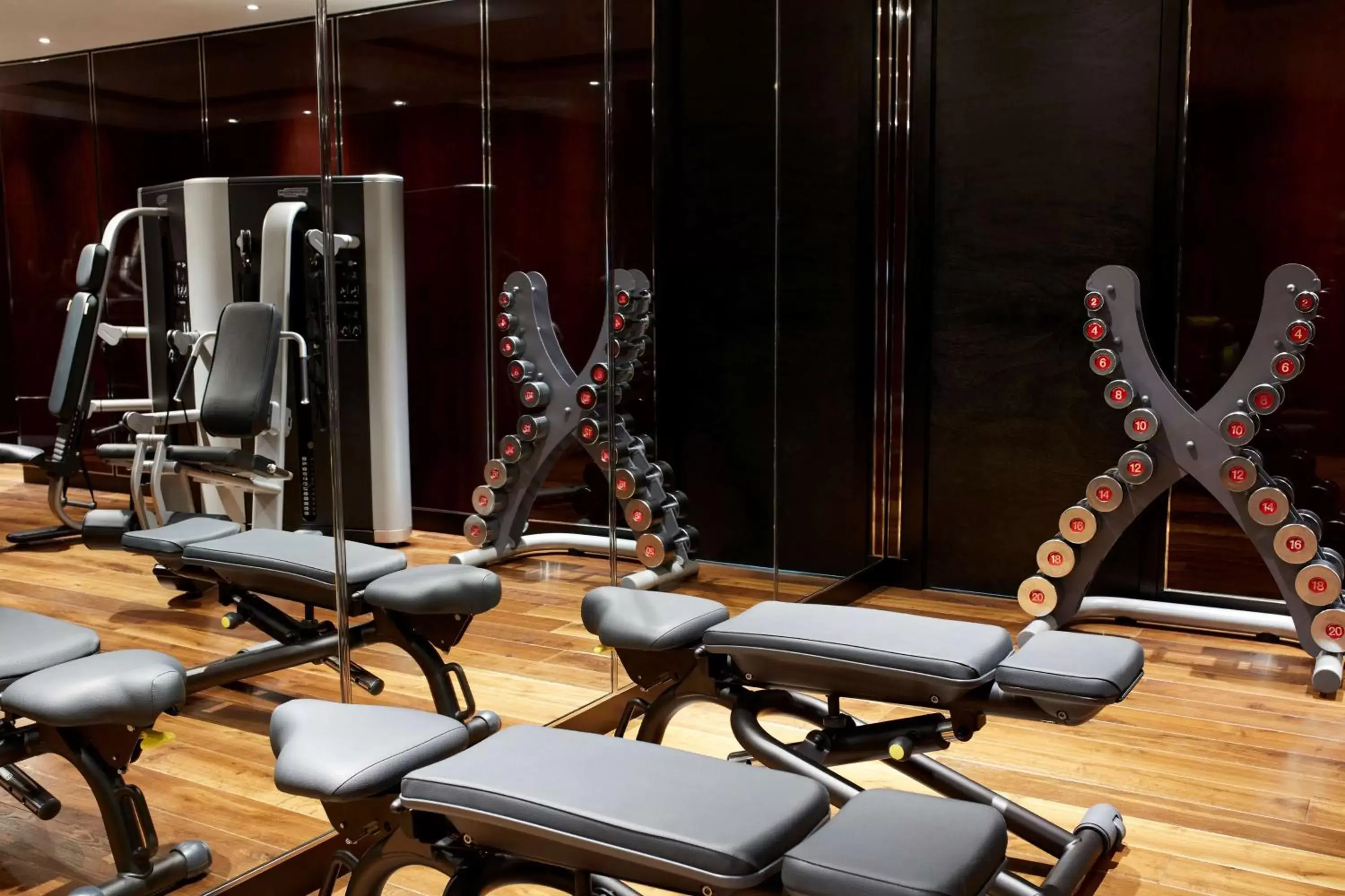 Fitness centre/facilities, Fitness Center/Facilities in Hyatt Regency London Albert Embankment