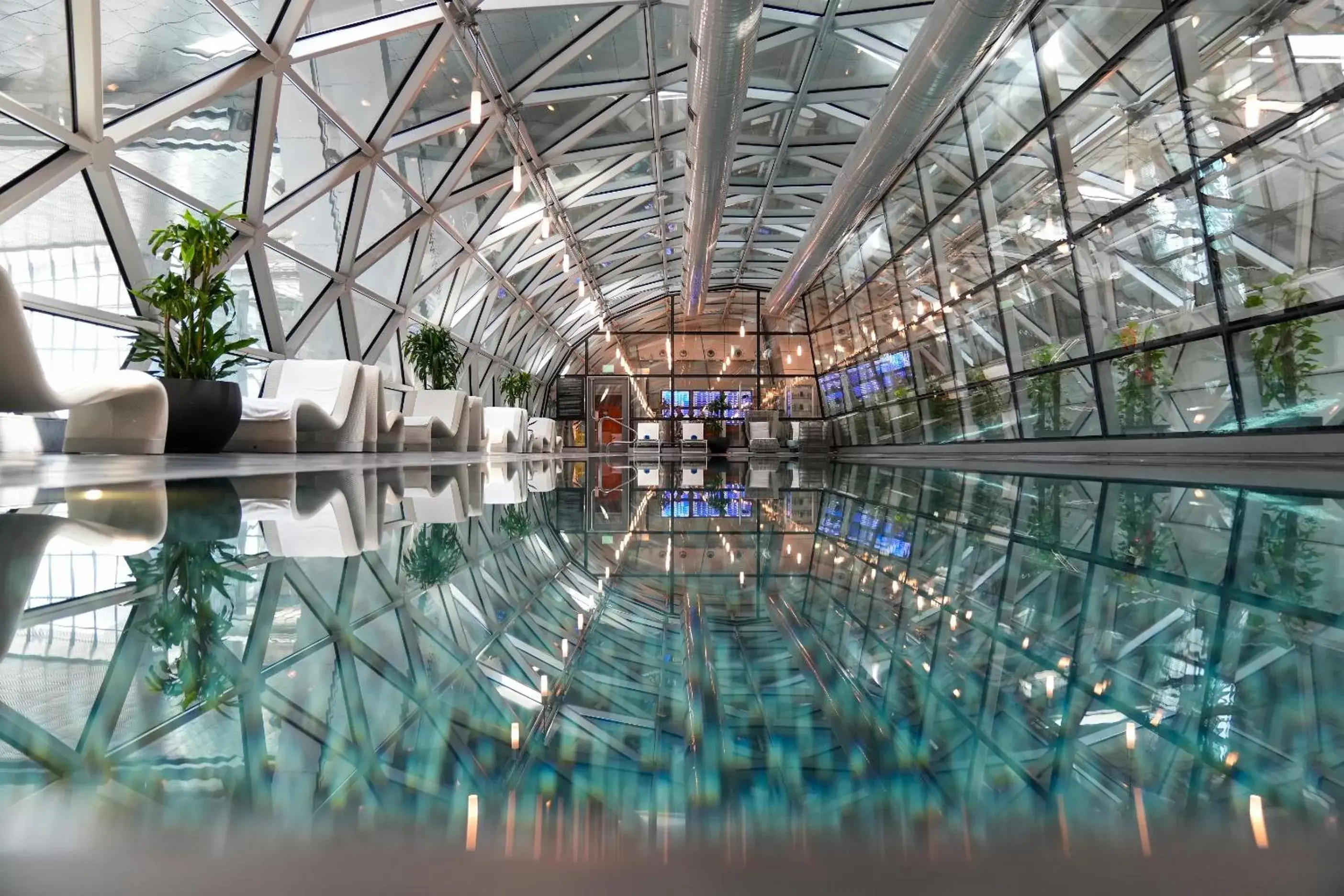 Swimming pool in Oryx Airport Hotel -Transit Only Swimming pool in Oryx Airport Hotel -Transit Only