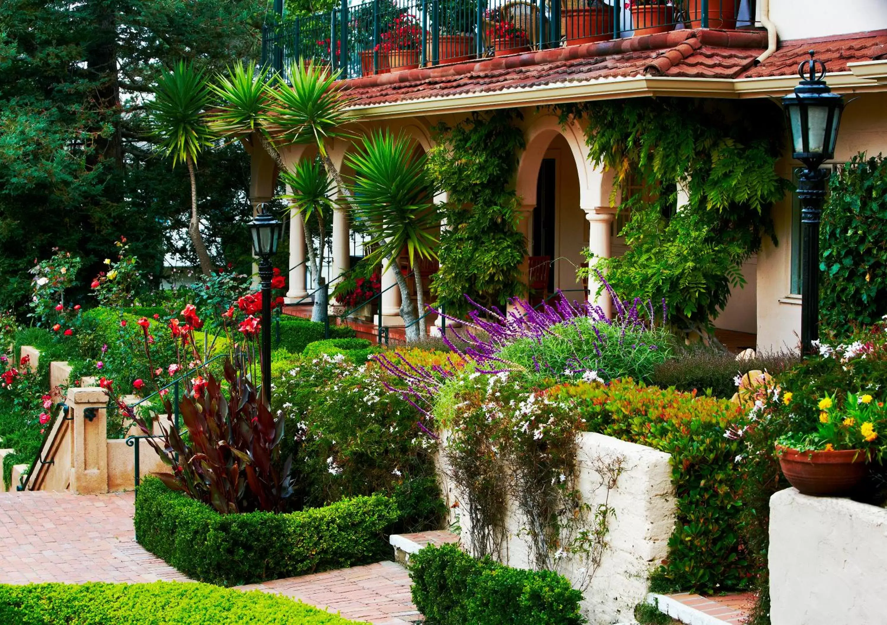 Garden, Property Building in La Playa Hotel