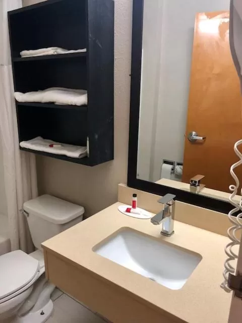 Bathroom in Microtel Inn by Wyndham - Murfreesboro