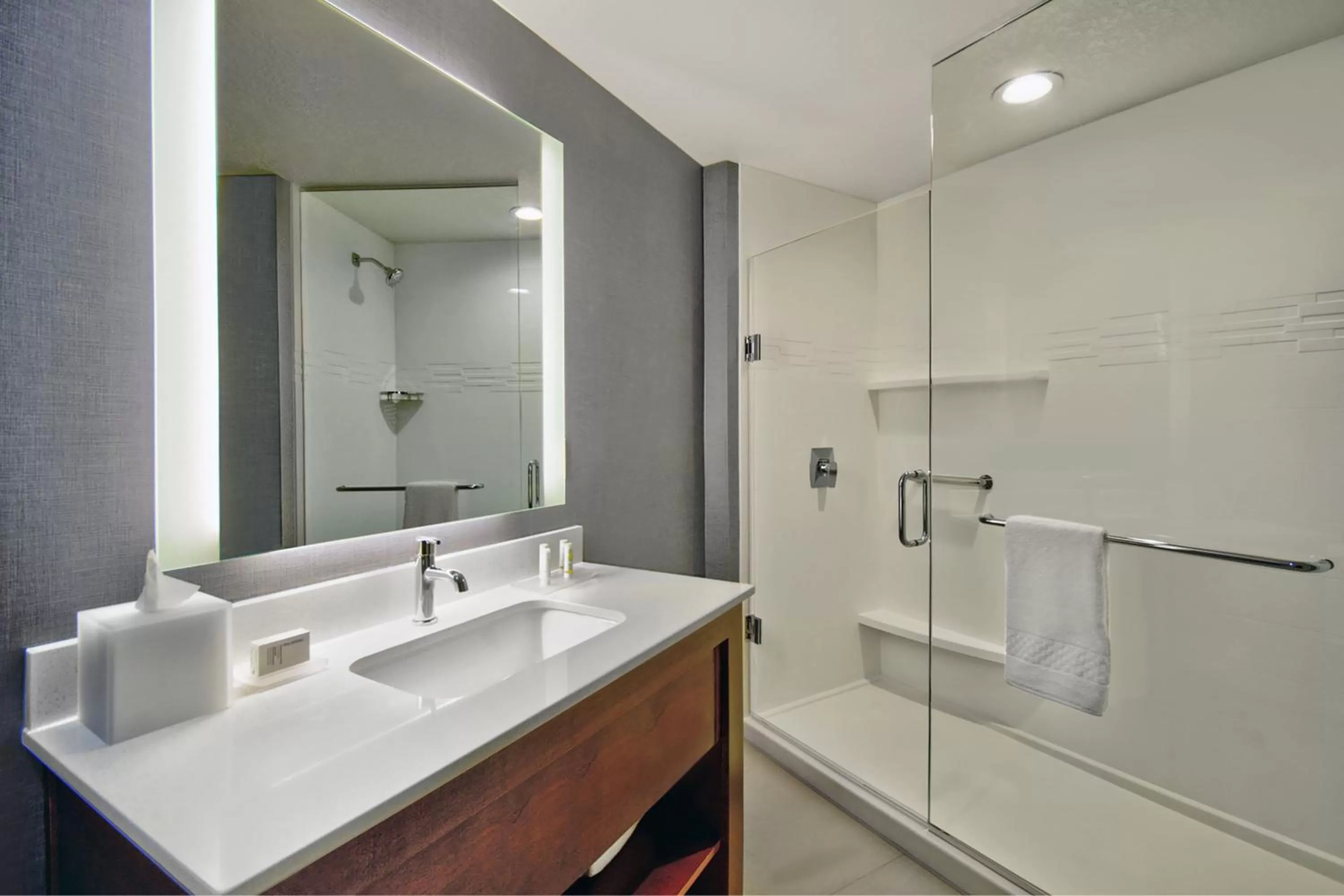 Bathroom in Residence Inn by Marriott Orlando at FLAMINGO CROSSINGS Town Center