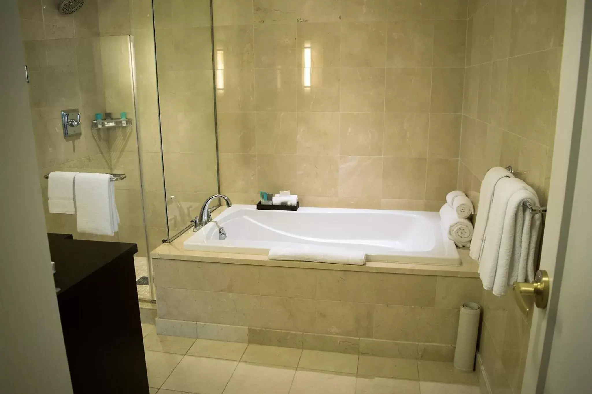 Suite in Hyatt Regency Washington on Capitol Hill Suite in Hyatt Regency Washington on Capitol Hill