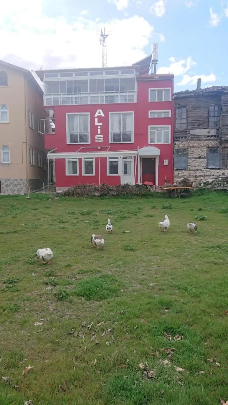 Property building in Ali's Pension ada alis