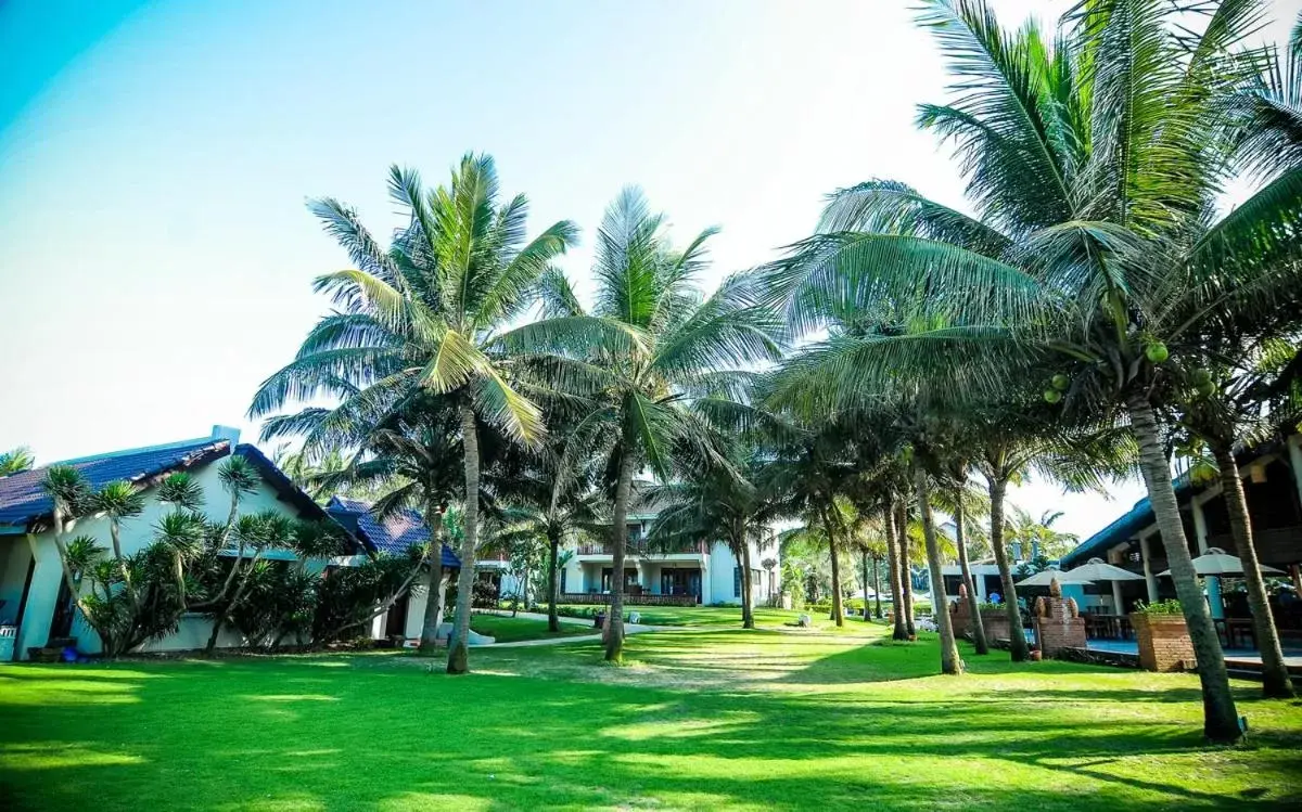 Natural landscape, Property Building in Palm Garden Beach Resort & Spa