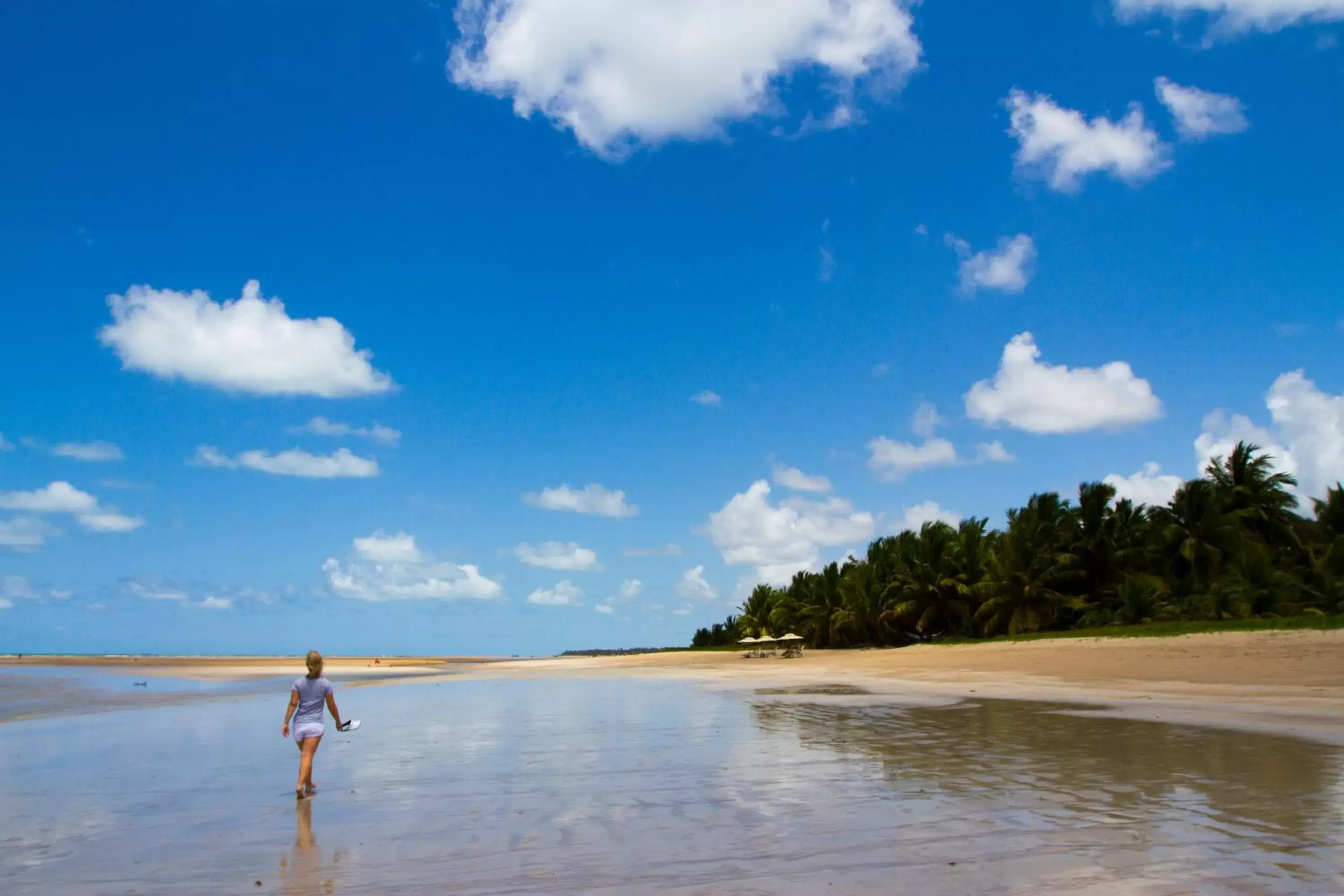 Natural landscape, Beach in Hotel Areias Belas