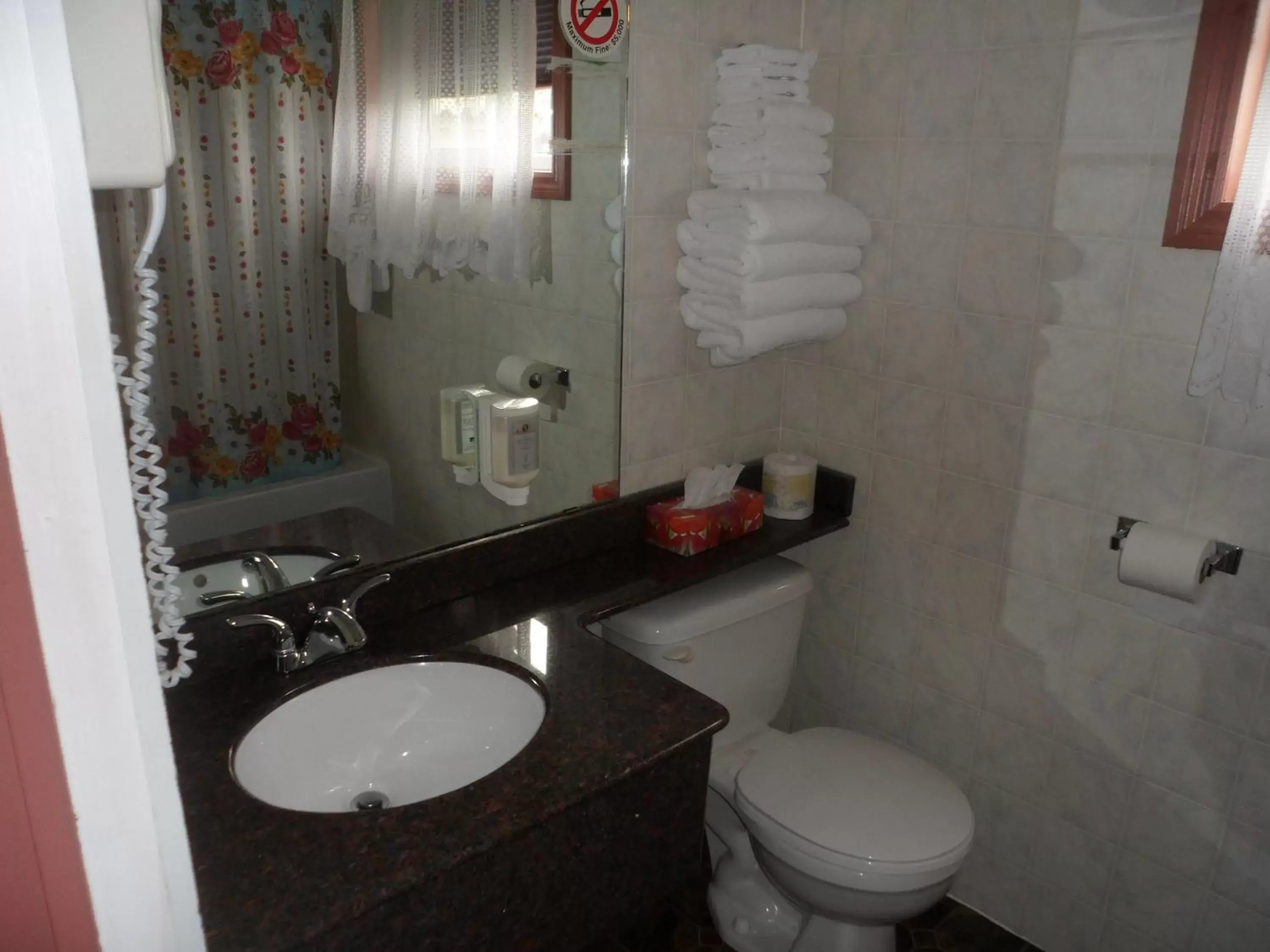 Shower, Bathroom in The Silver Birch Motel
