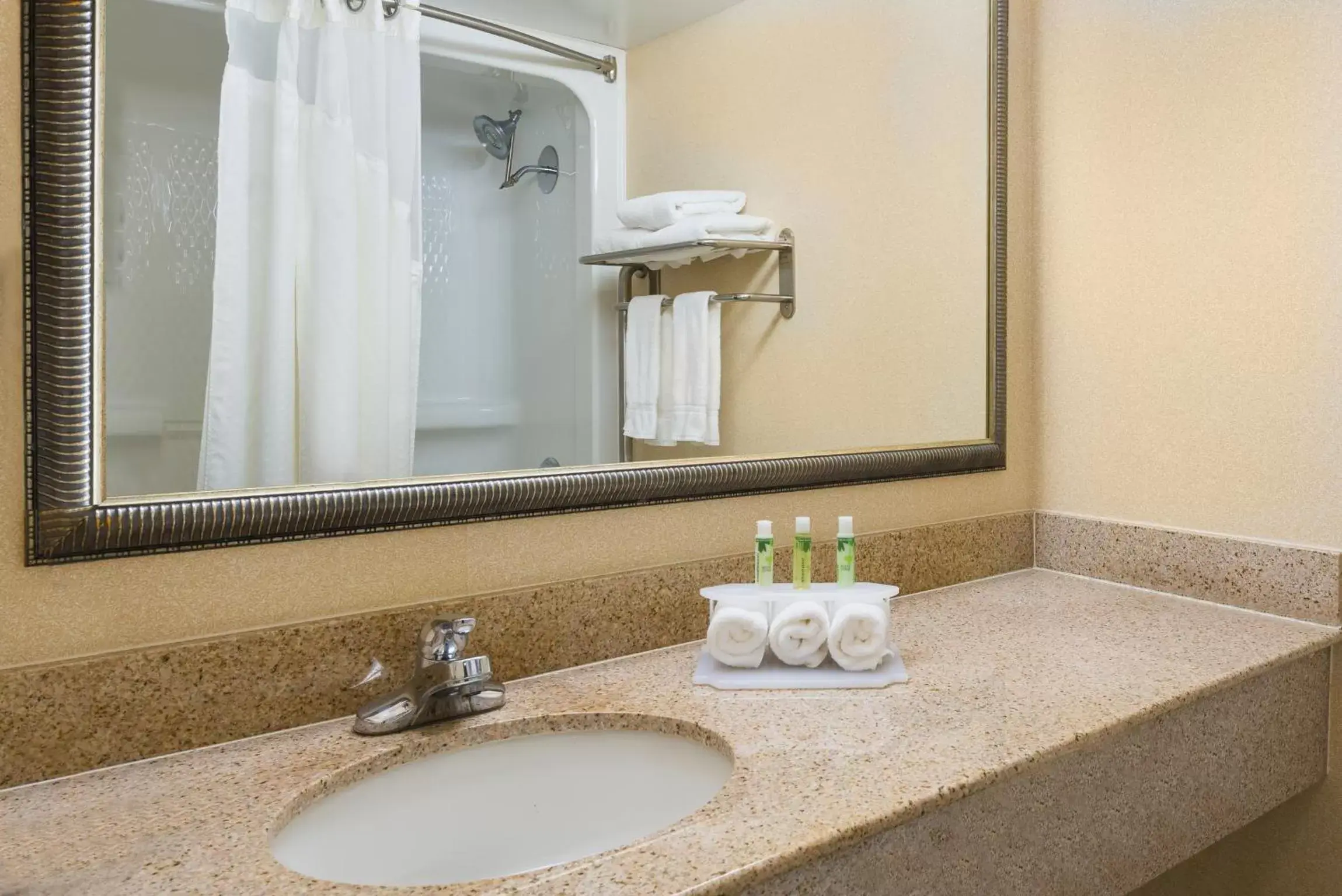 Bathroom in Holiday Inn Express Richmond-Mechanicsville, an IHG Hotel