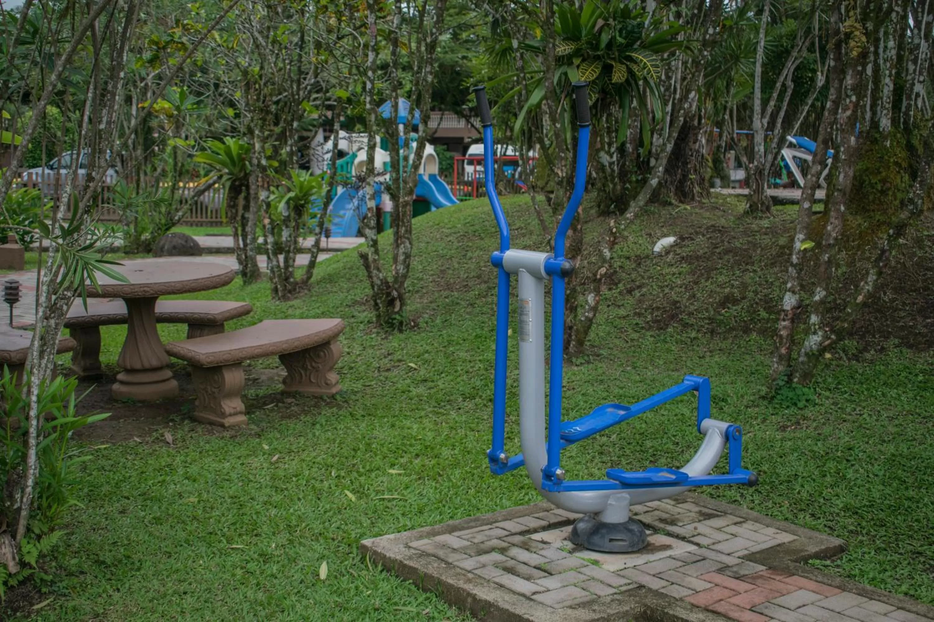 Activities in Hotel Suerre