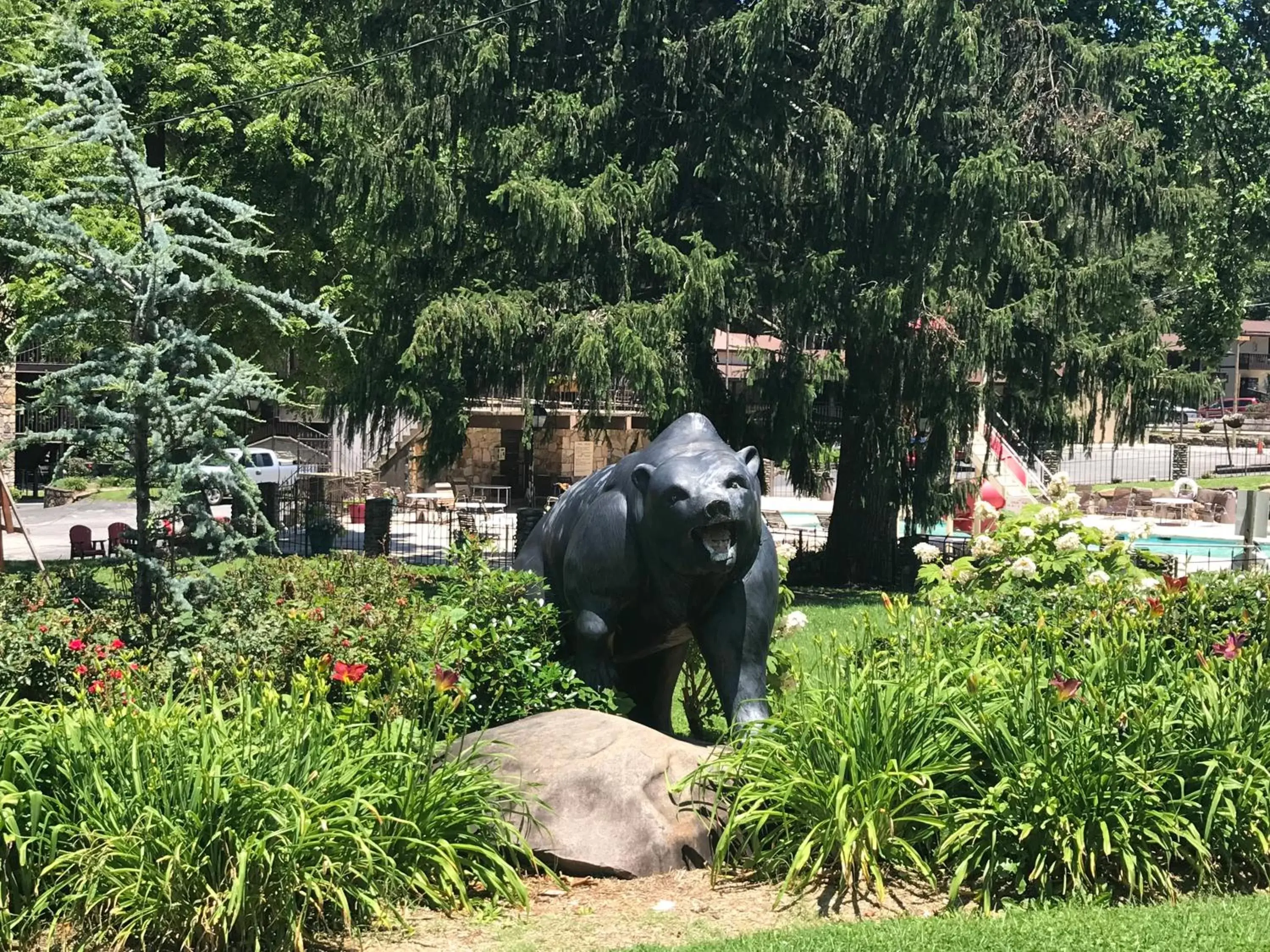 Garden, Other Animals in Brookside Lodge