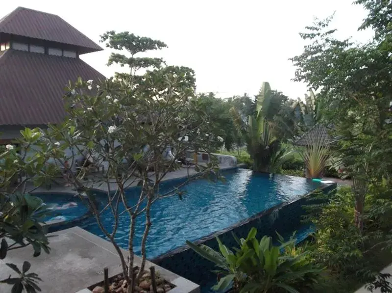 Swimming Pool in Chalicha Resort