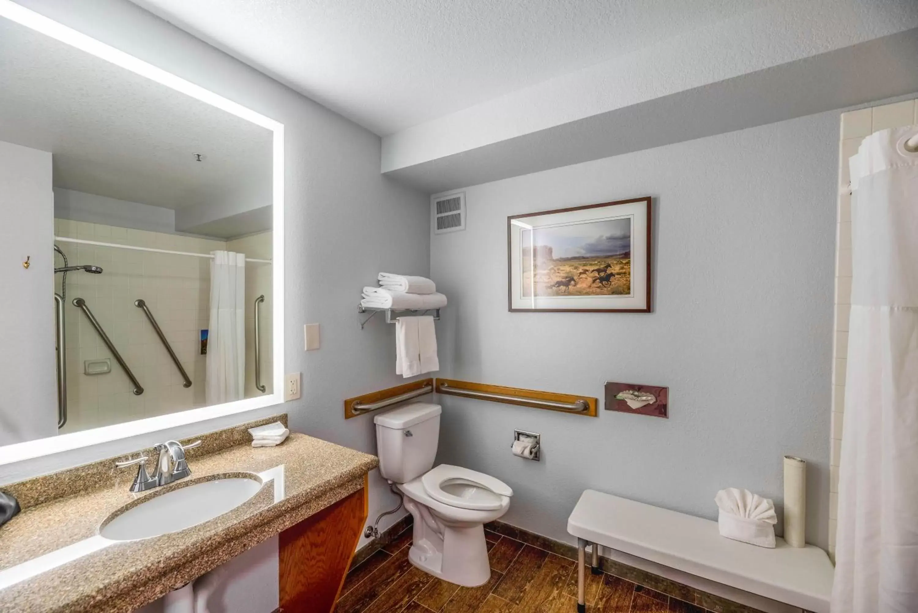 Bathroom in Arroyo Pinion Hotel, Ascend Hotel Collection