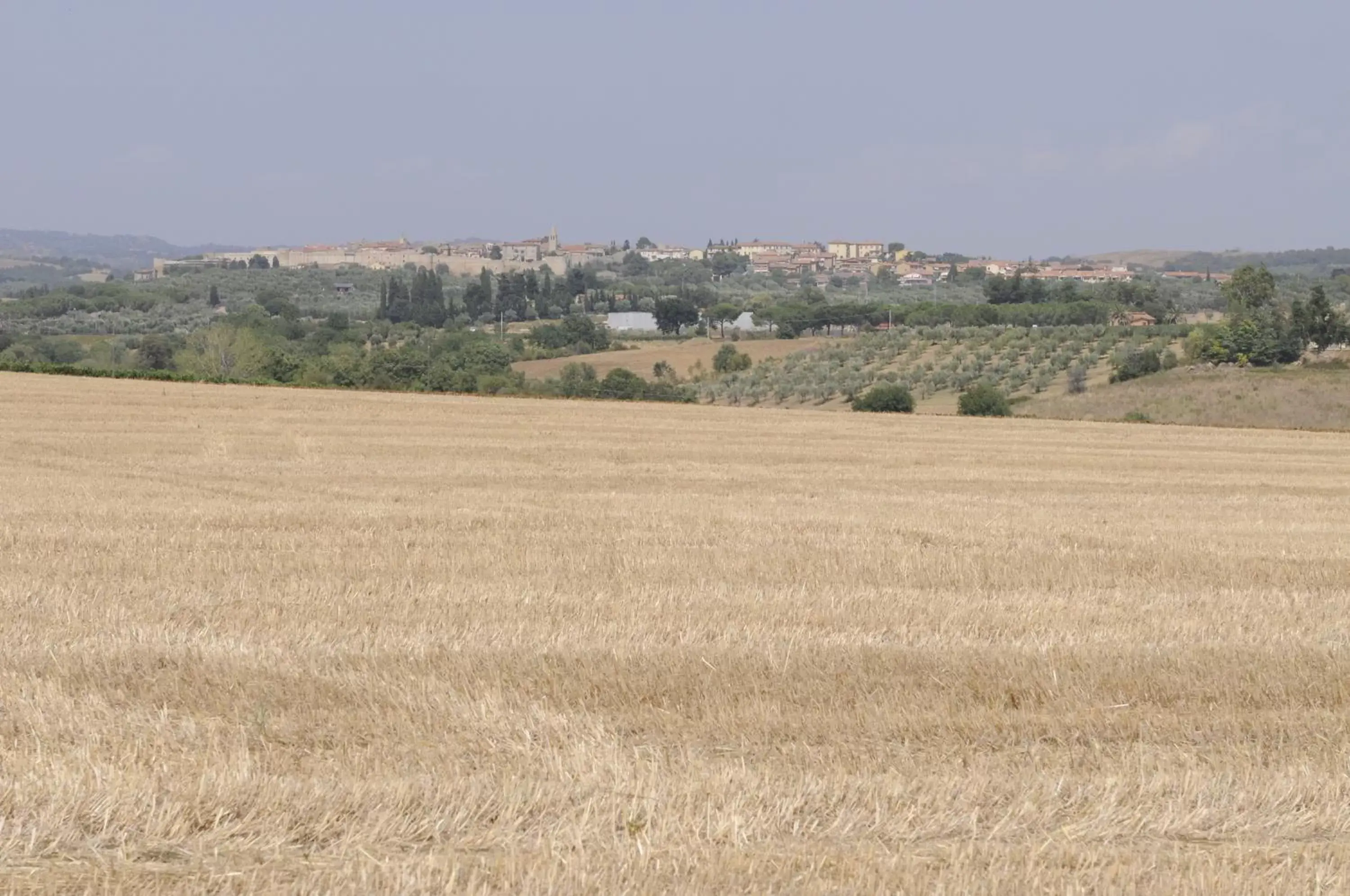 Area and facilities in Le Tartarughe B&B