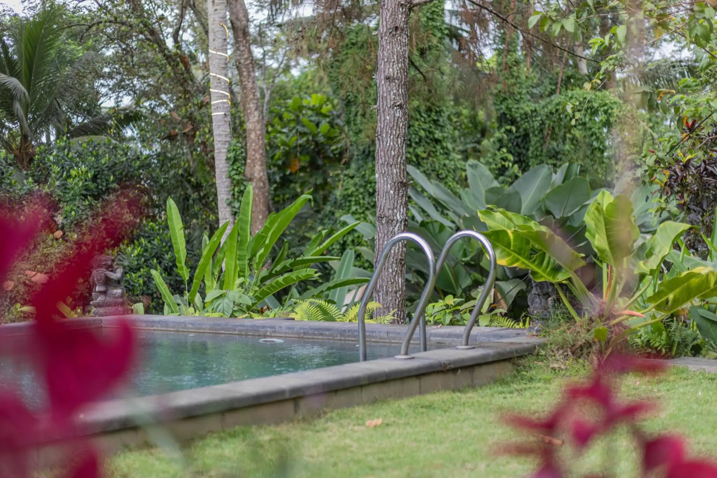 Natural landscape in Suara Air Luxury Villa Ubud