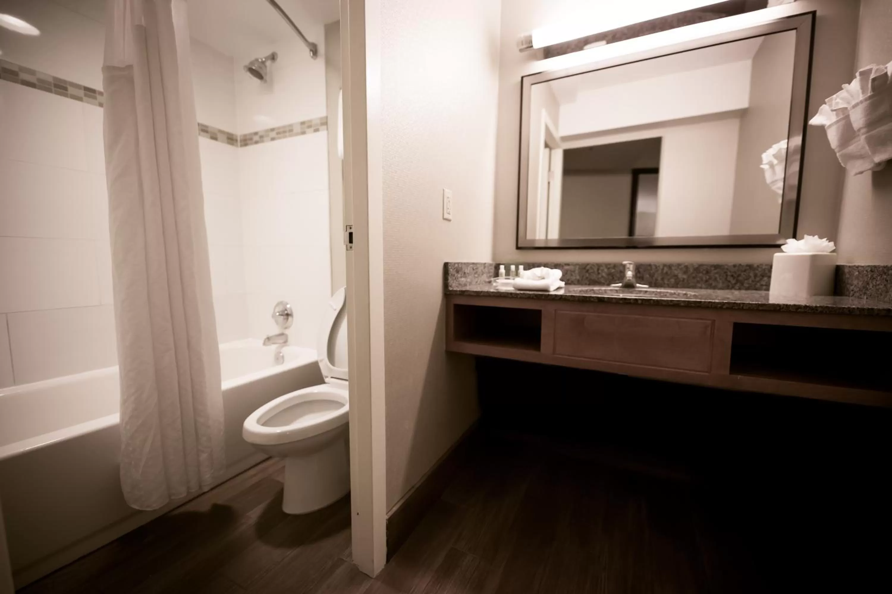 Bathroom in Holiday Inn Raleigh Downtown by IHG
