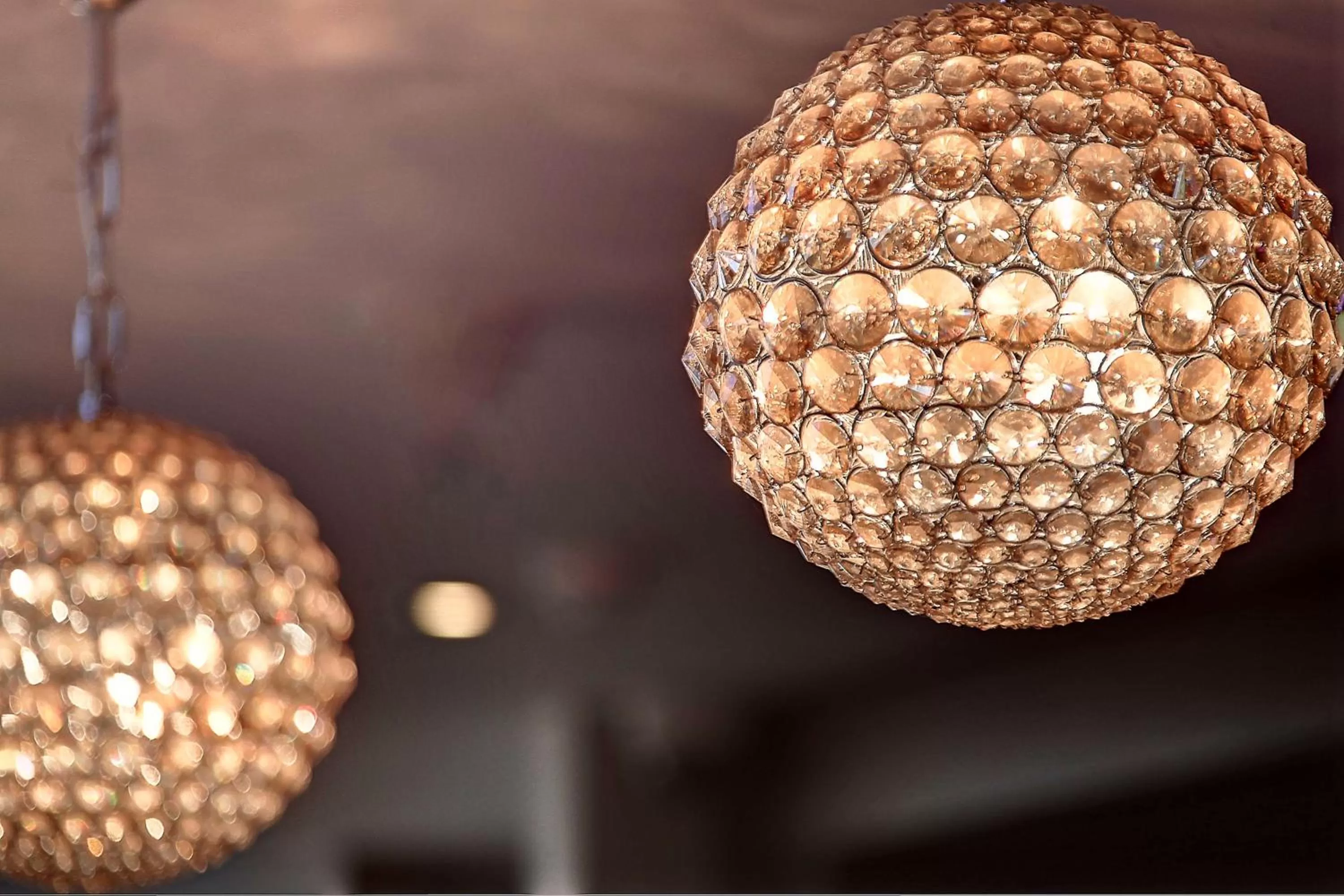 Restaurant/places to eat in Best Western Hotel Hatfield