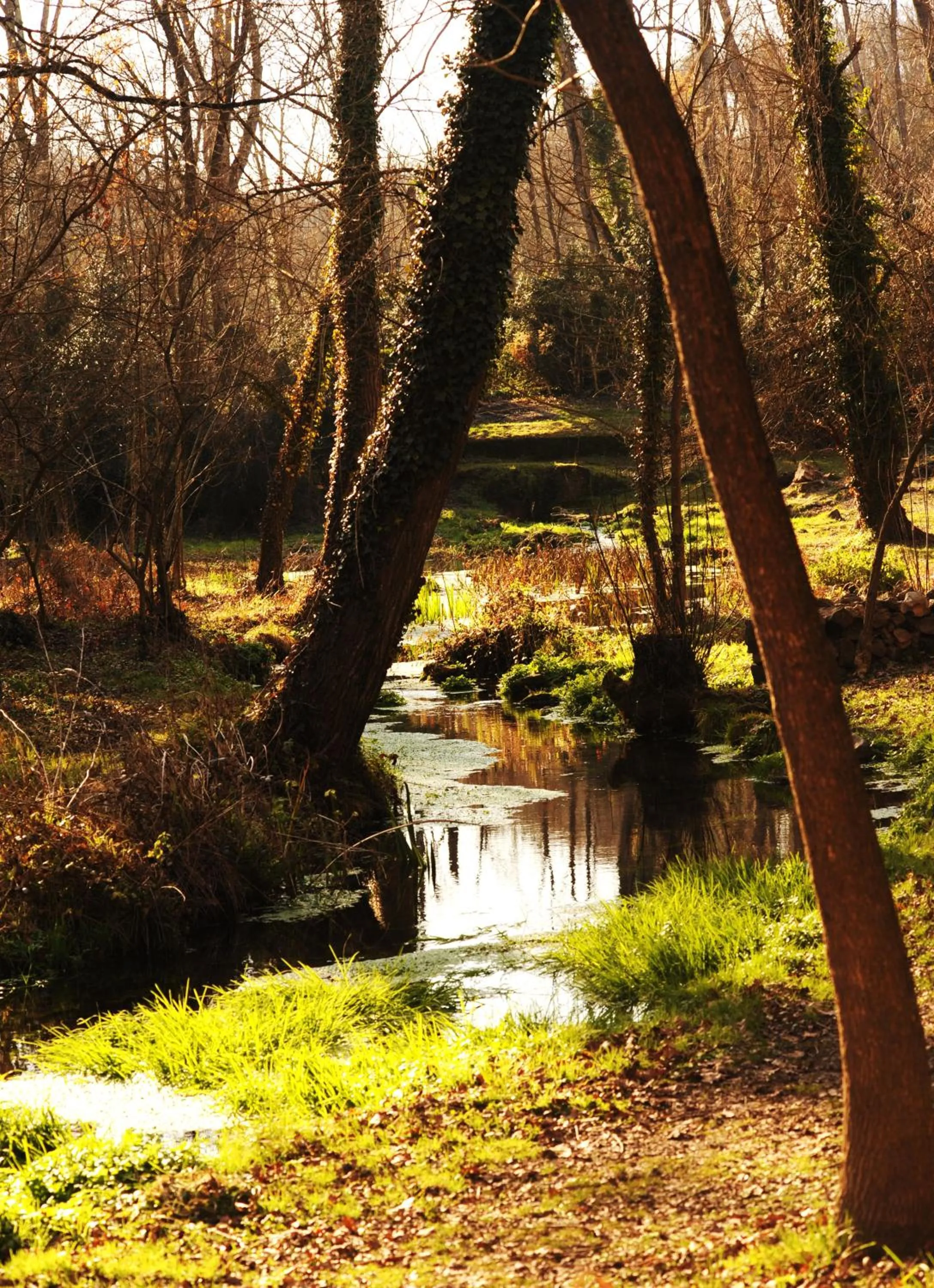 Activities in Hotel Cal Sastre