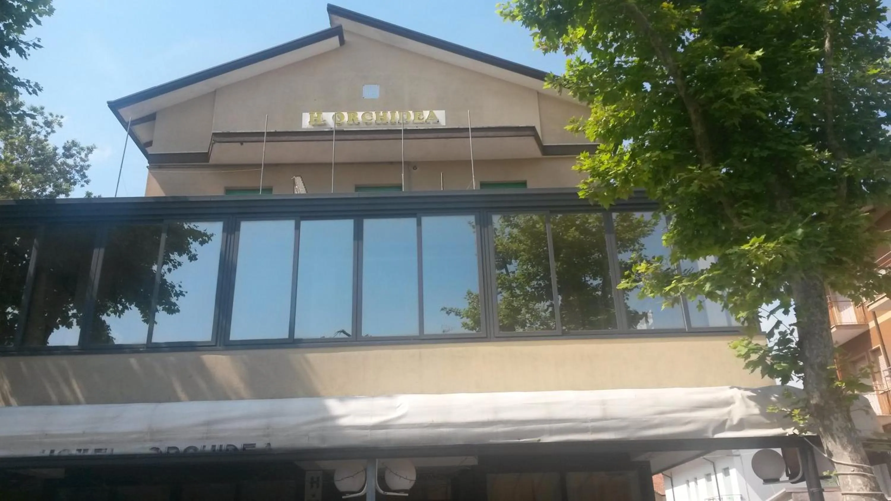 Restaurant/places to eat in Hotel Orchidea