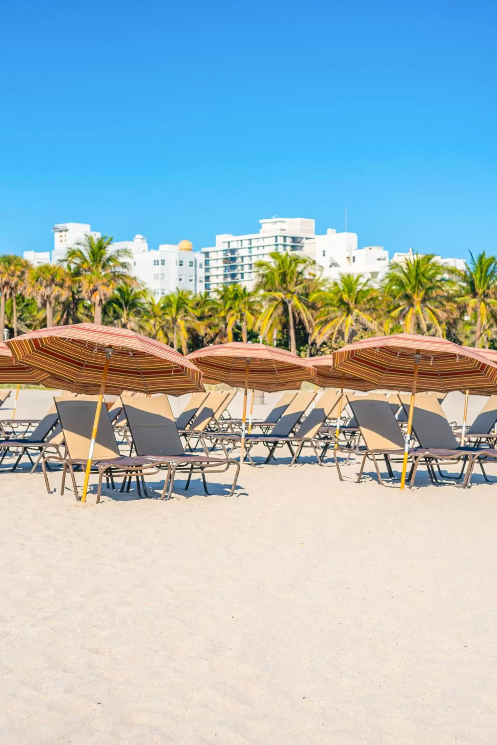 Beach in National Hotel, An Adult Only Oceanfront Resort