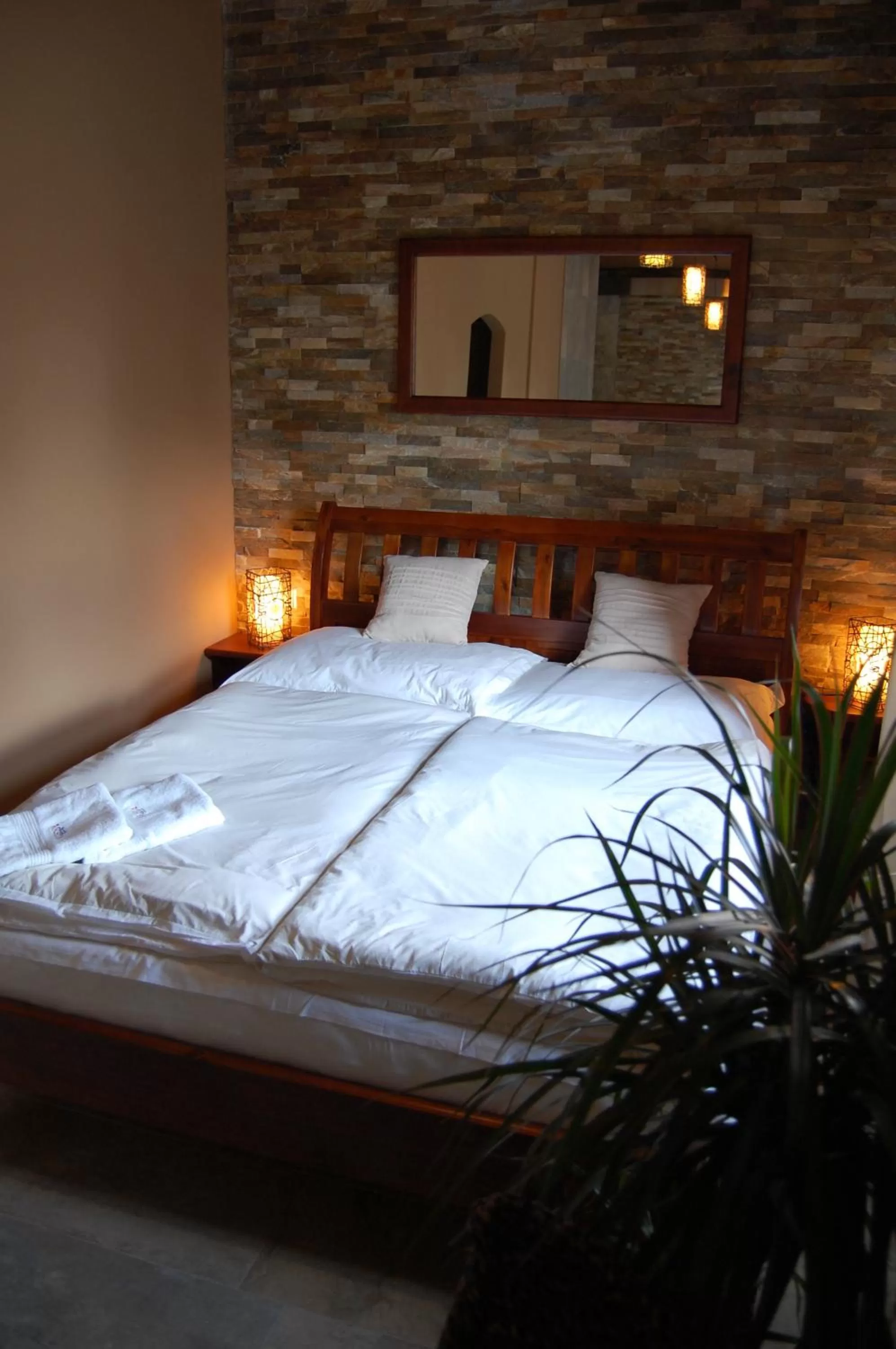 Spa and wellness centre/facilities, Bed in Hotel RICHTR