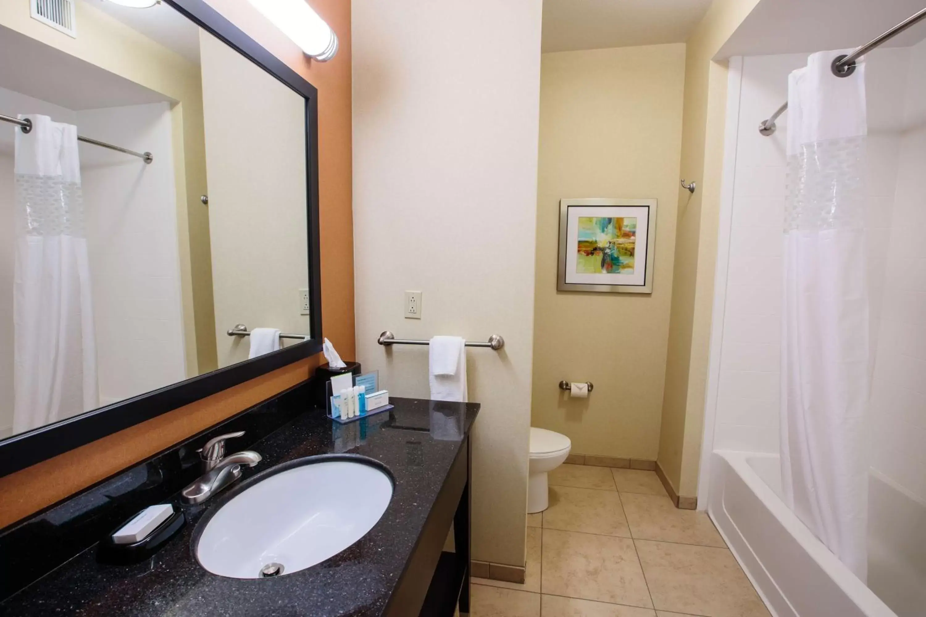 Bathroom in Hampton Inn & Suites Effingham