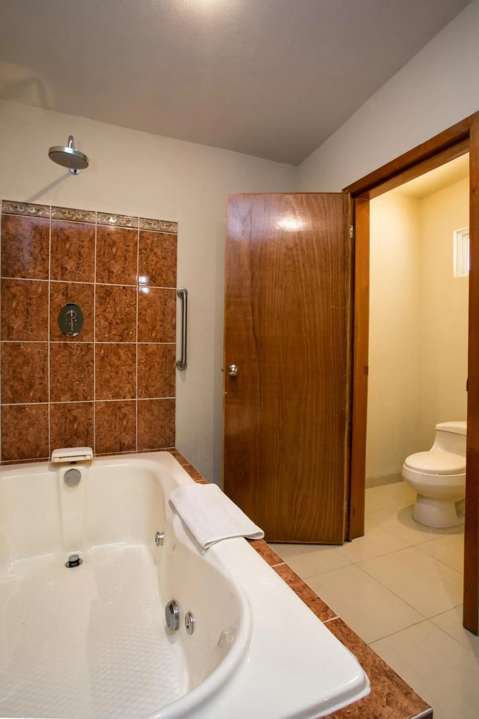 Toilet, Bathroom in Auto Hotel Paraíso Inn