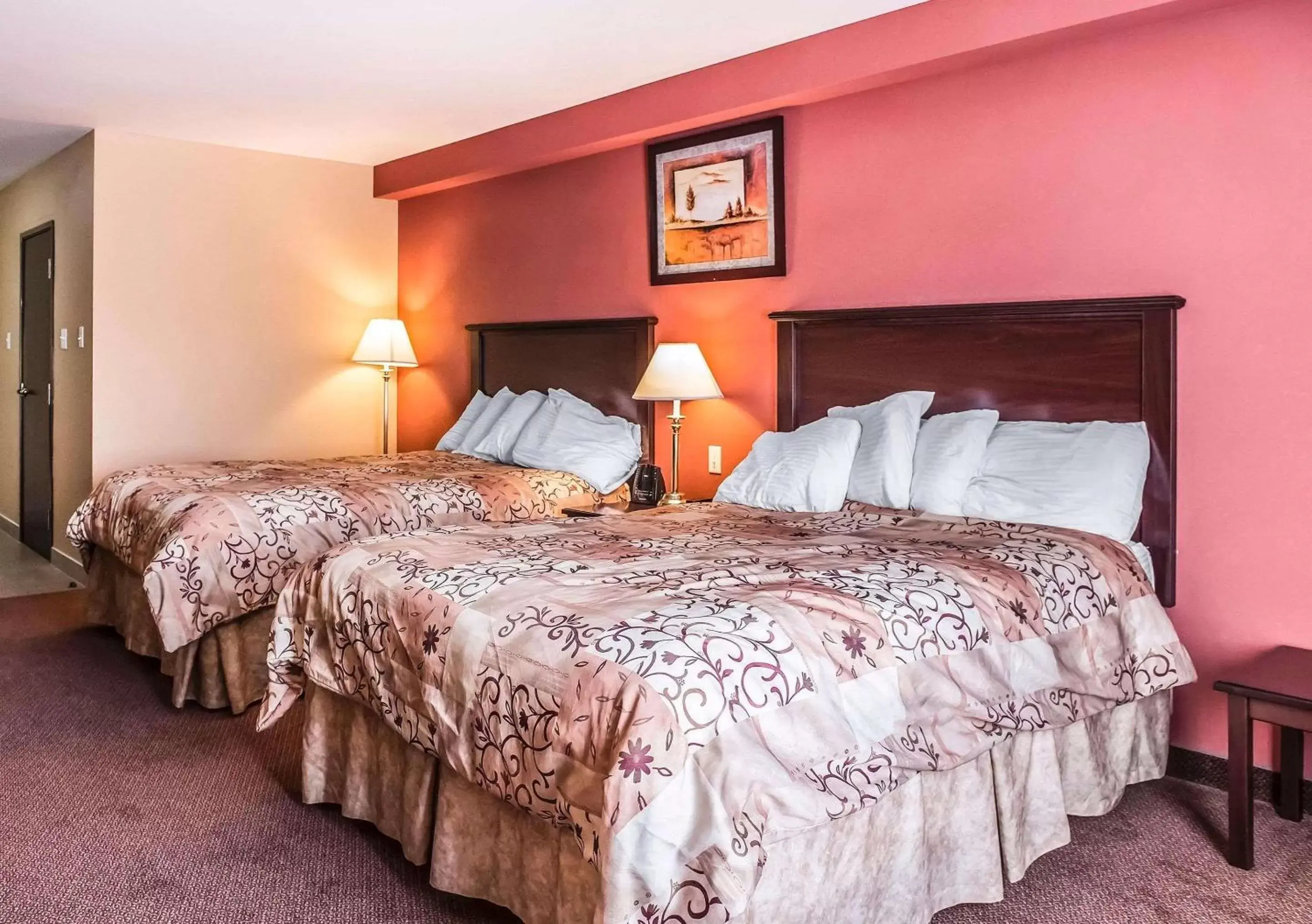 Photo of the whole room, Bed in Quality Inn Orleans