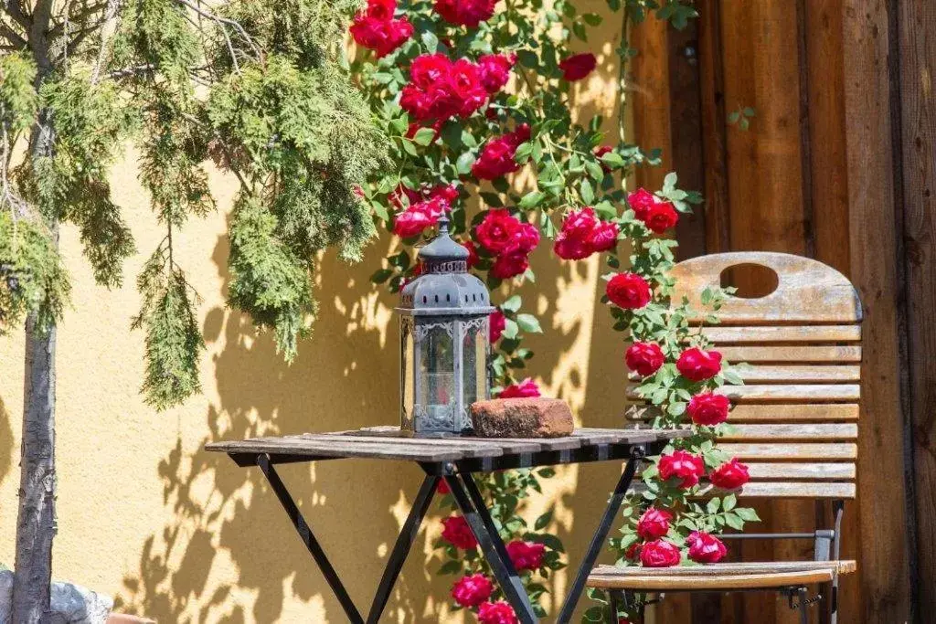 Patio in Hotel Garni Pölzl