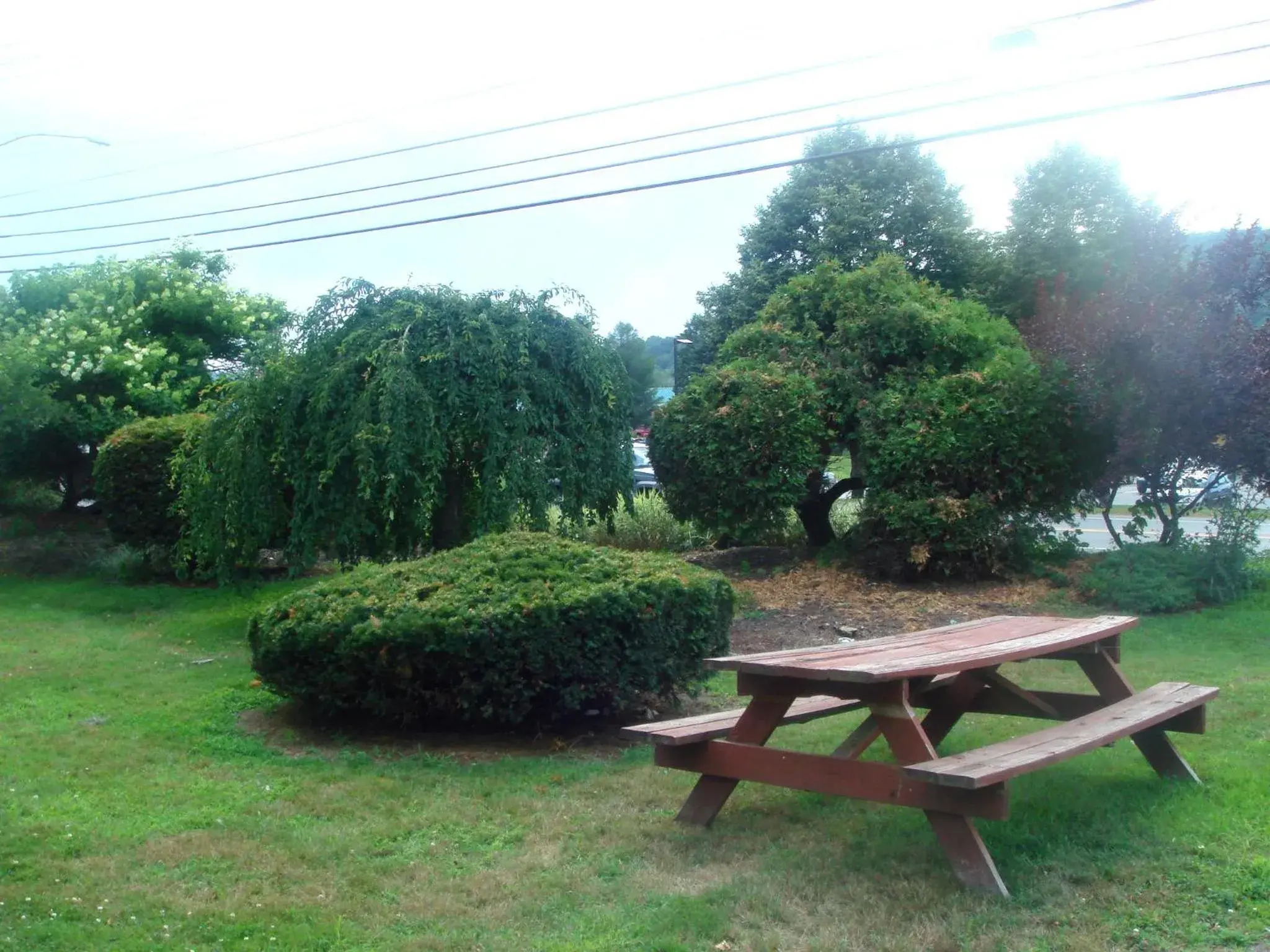 Facade/entrance, Garden in The Black Mountain Inn