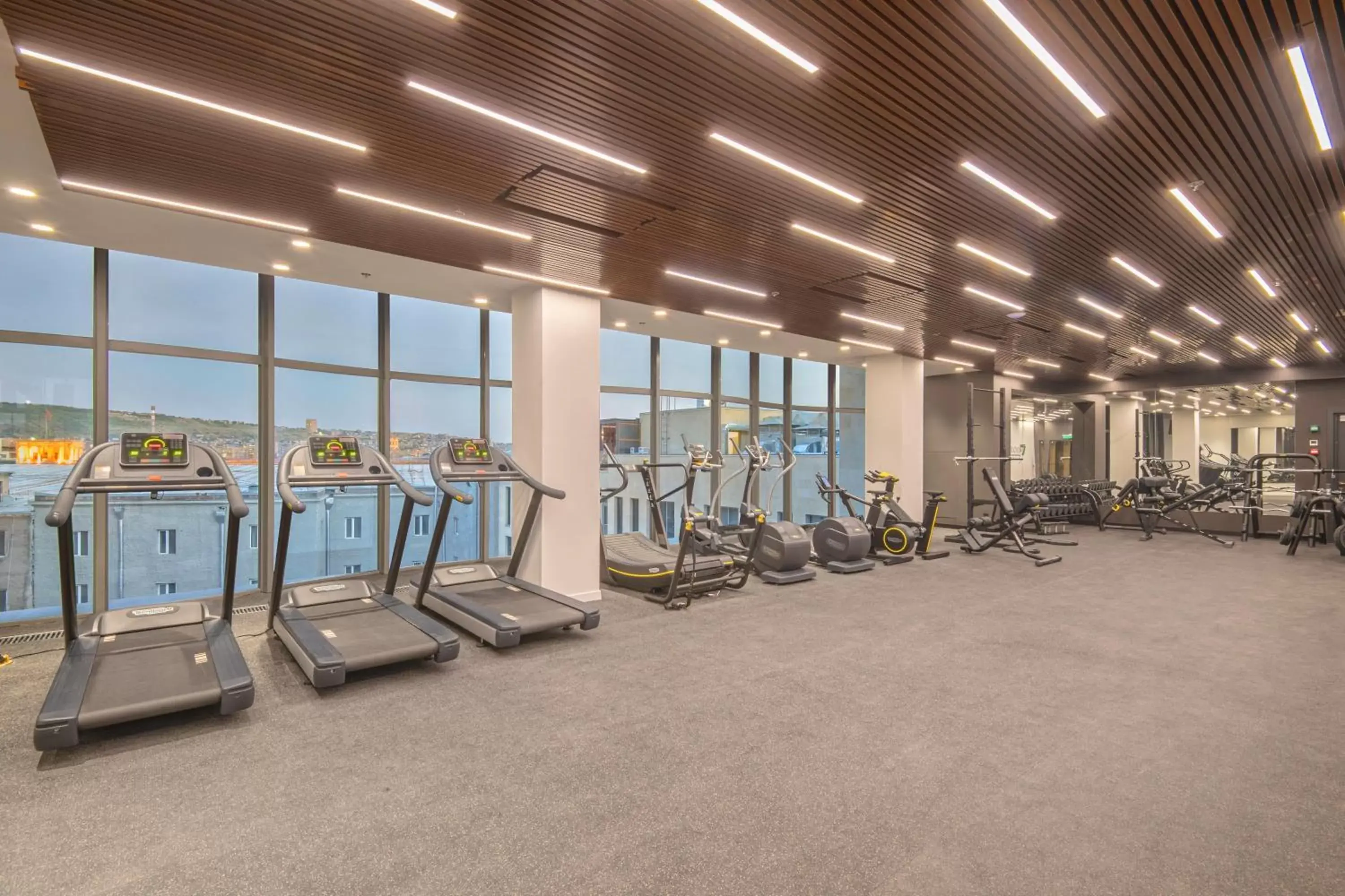 Fitness centre/facilities, Fitness Center/Facilities in Holiday Inn Yerevan - Republic Square, an IHG Hotel