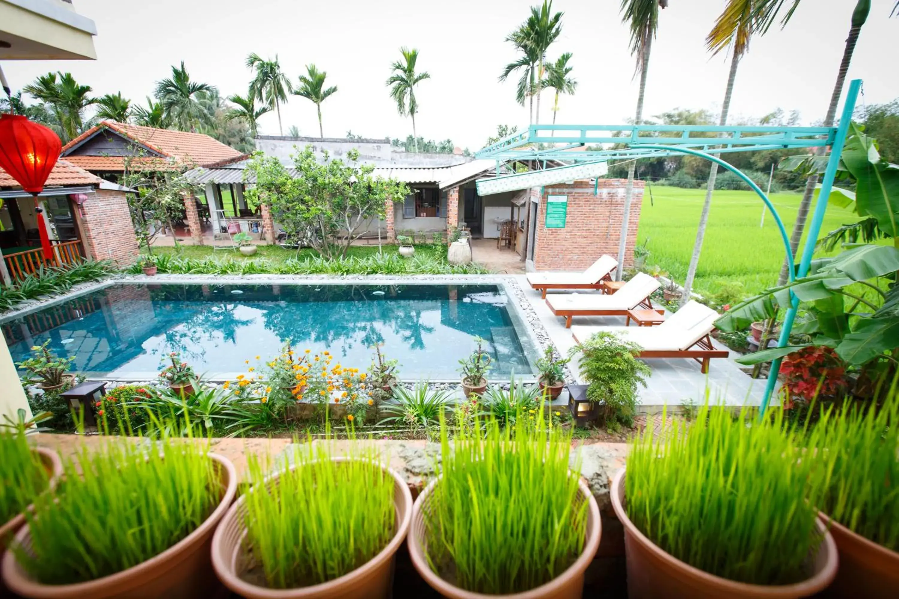 Spring, Swimming Pool in Lama Villa Hoi An