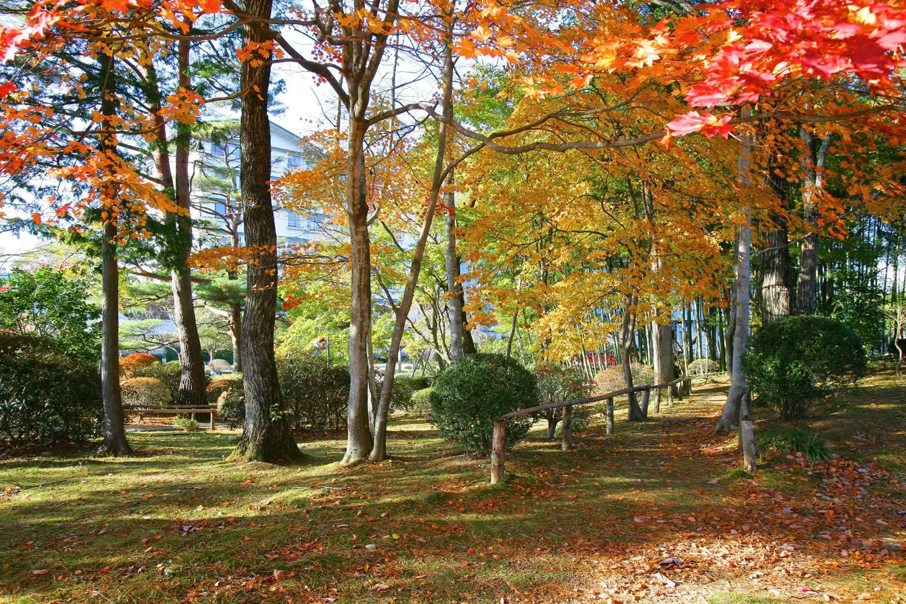 Day, Garden in Ryokusuitei