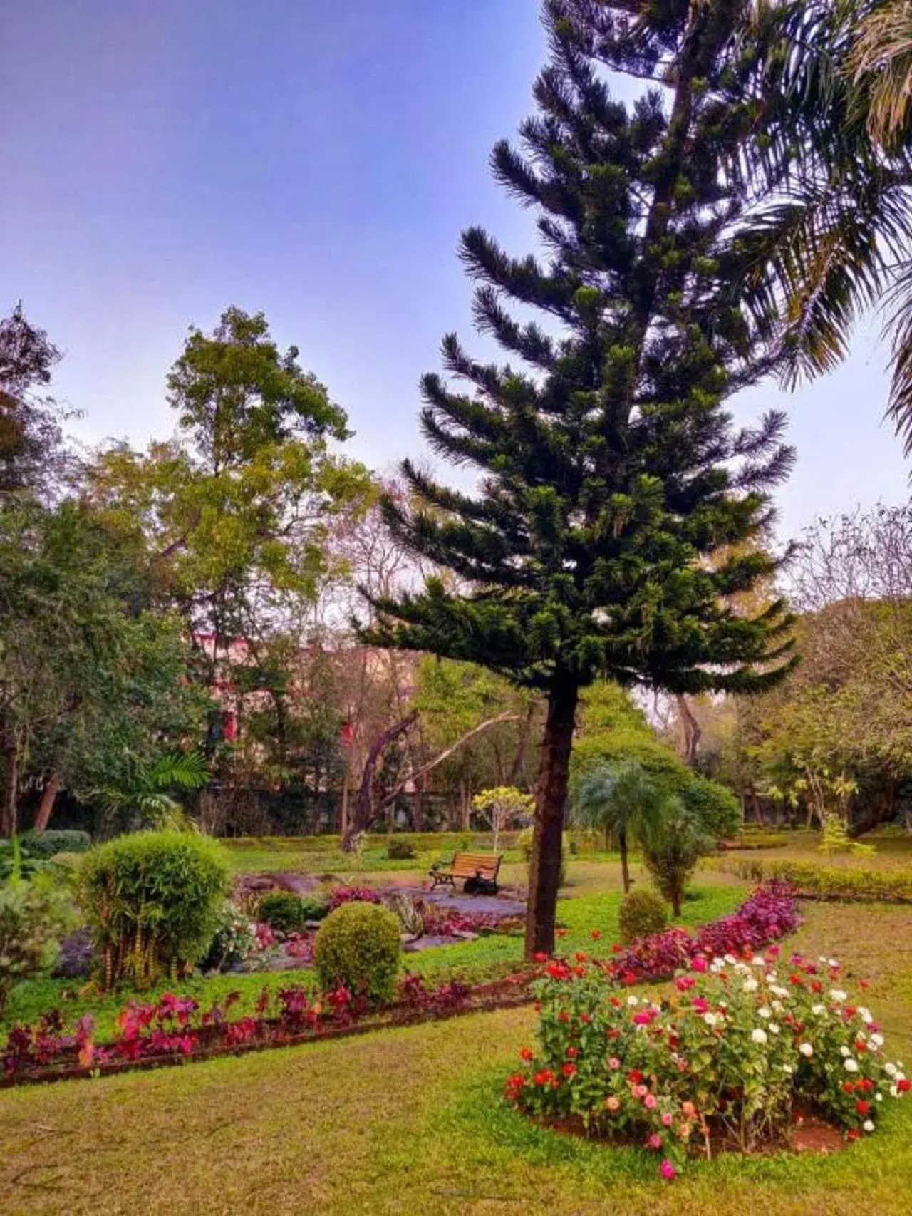 Natural landscape, Garden in Trident Bhubaneswar