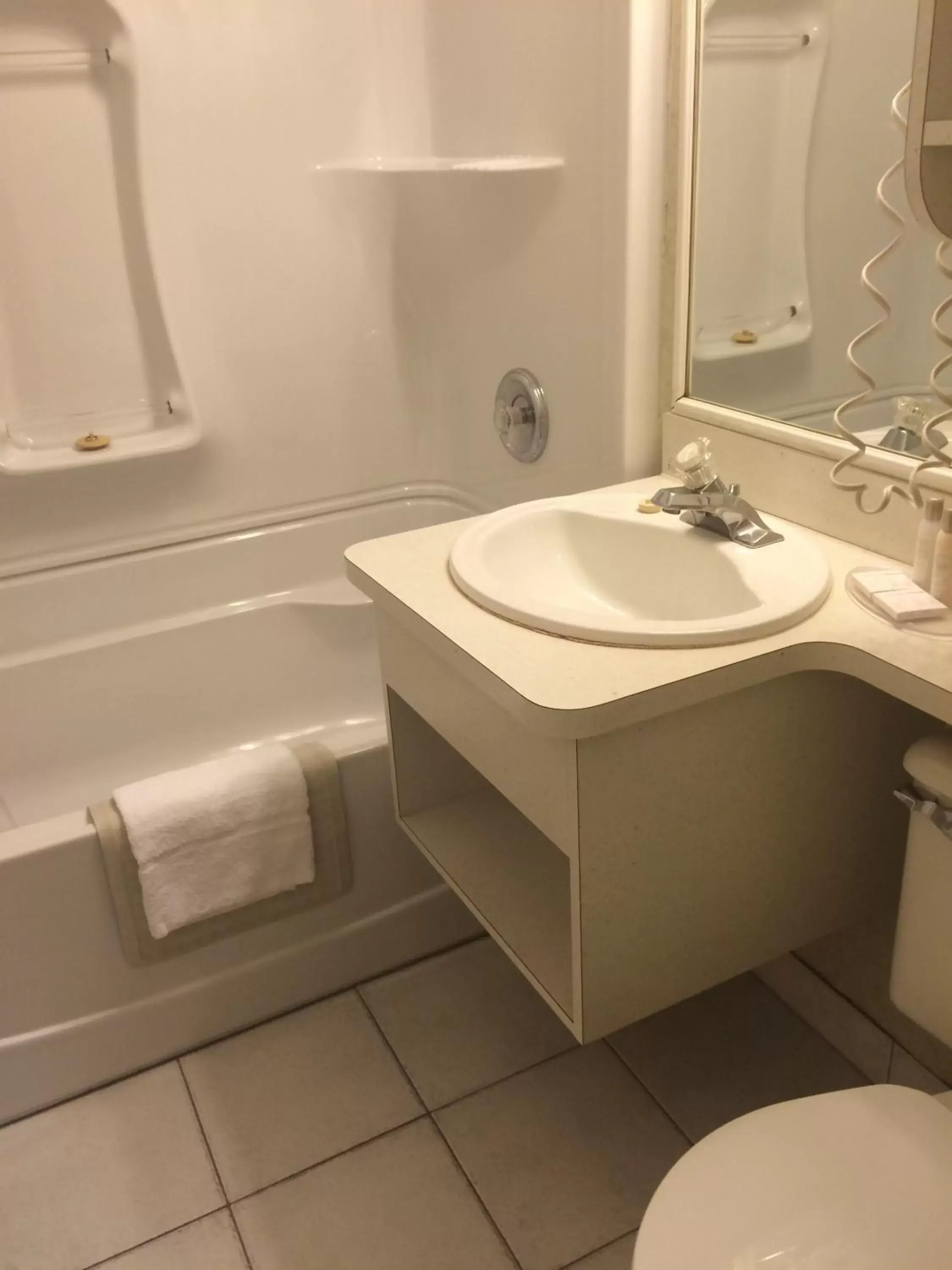 Bathroom in Travelodge by Wyndham Winnipeg East