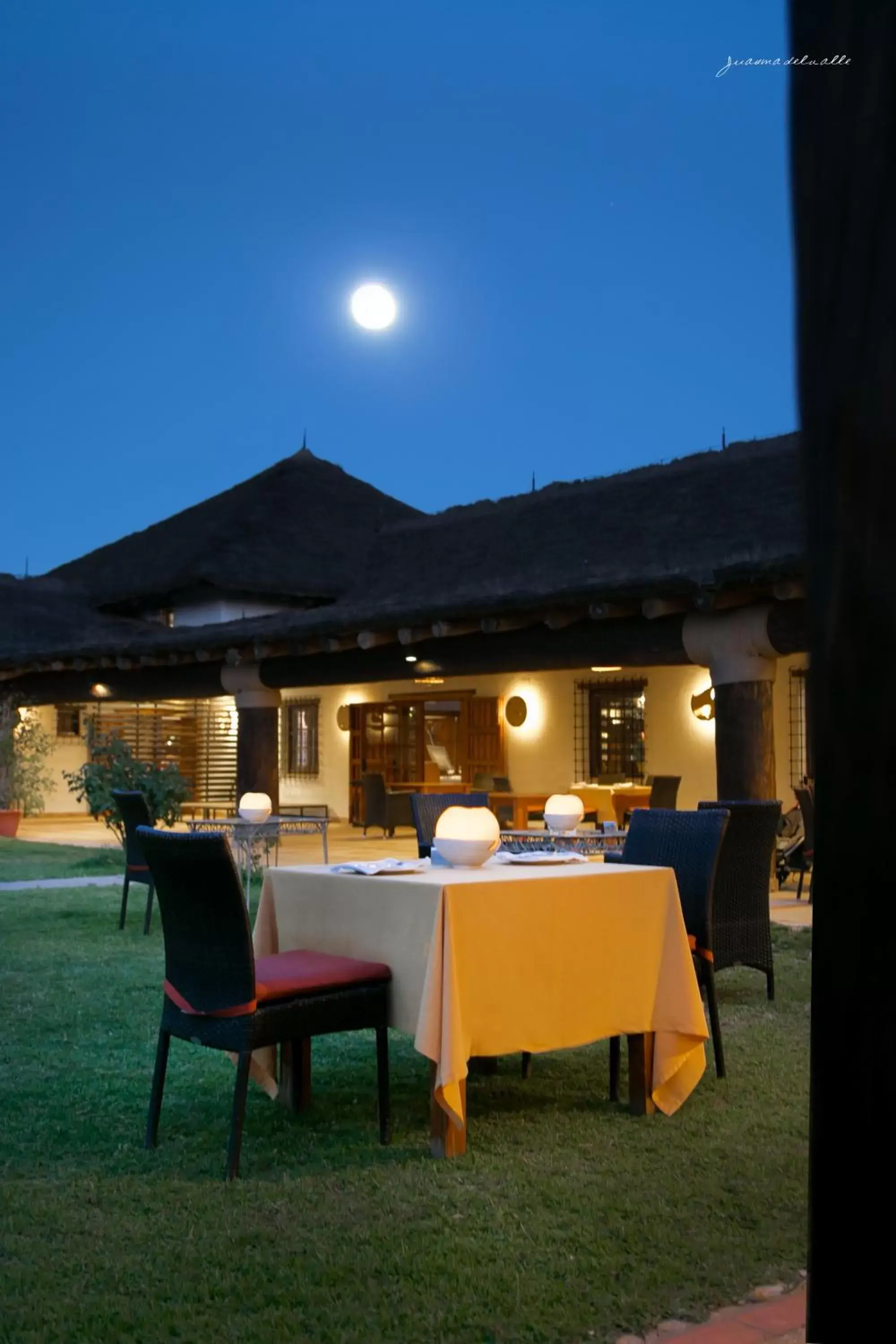 Restaurant/places to eat in Ardea Purpurea Restaurant/places to eat in Ardea Purpurea