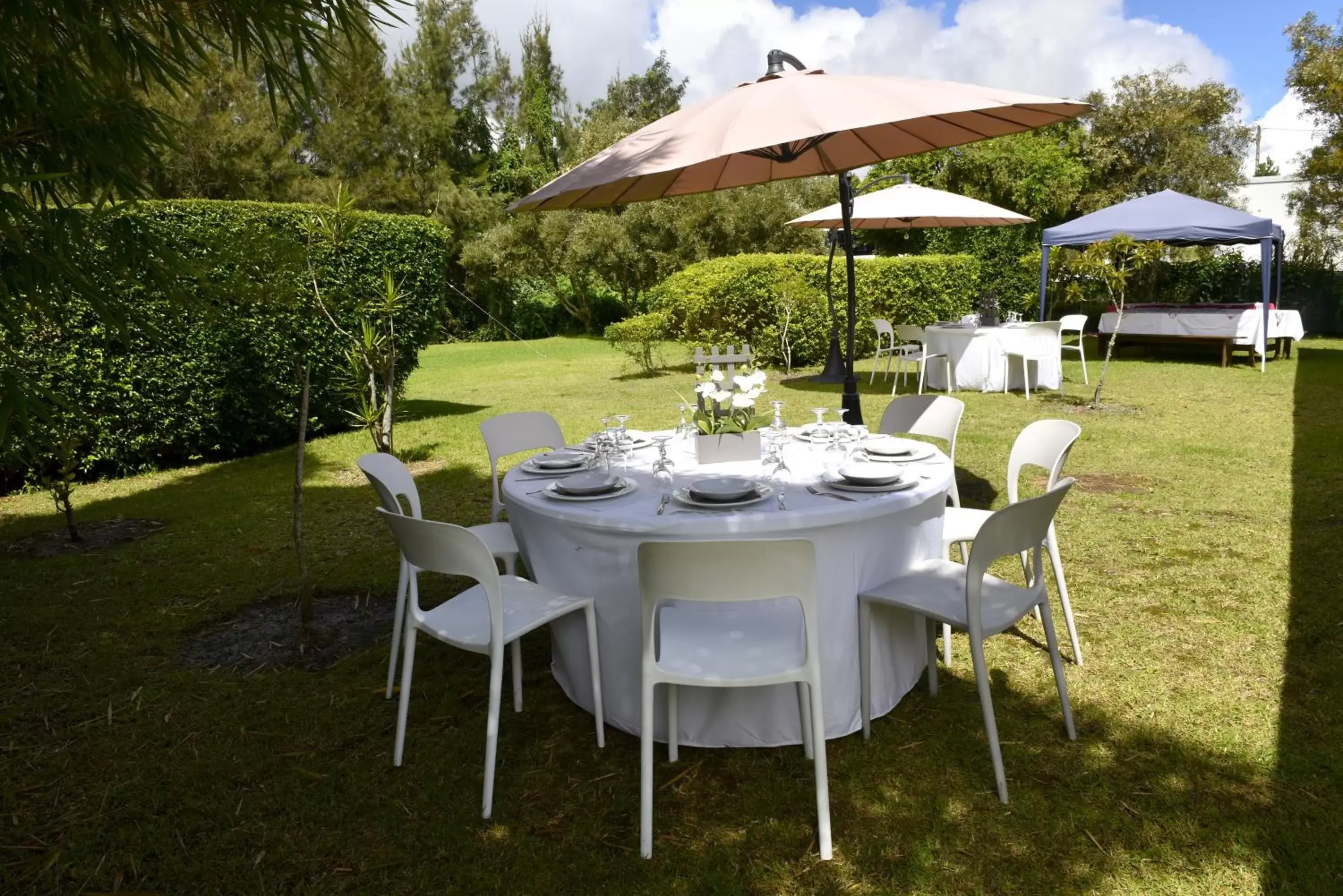 Restaurant/places to eat, Banquet Facilities in Hotel Le Cilaos