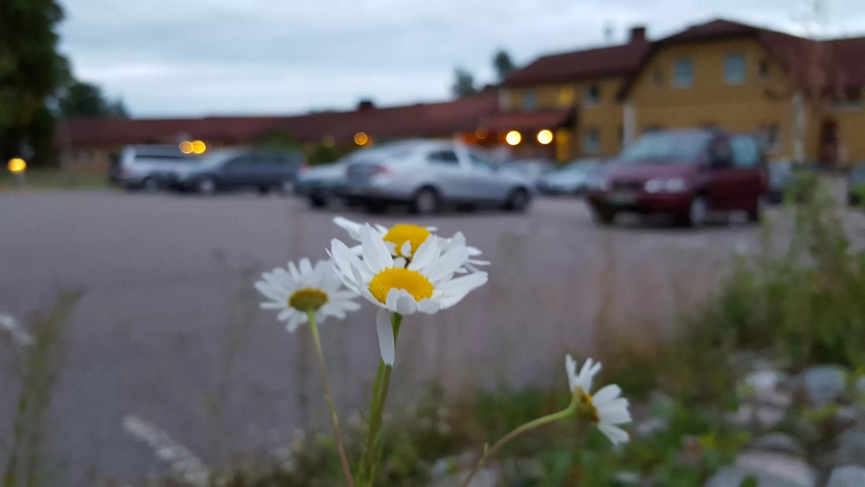 On site in Dagsholm Hotell