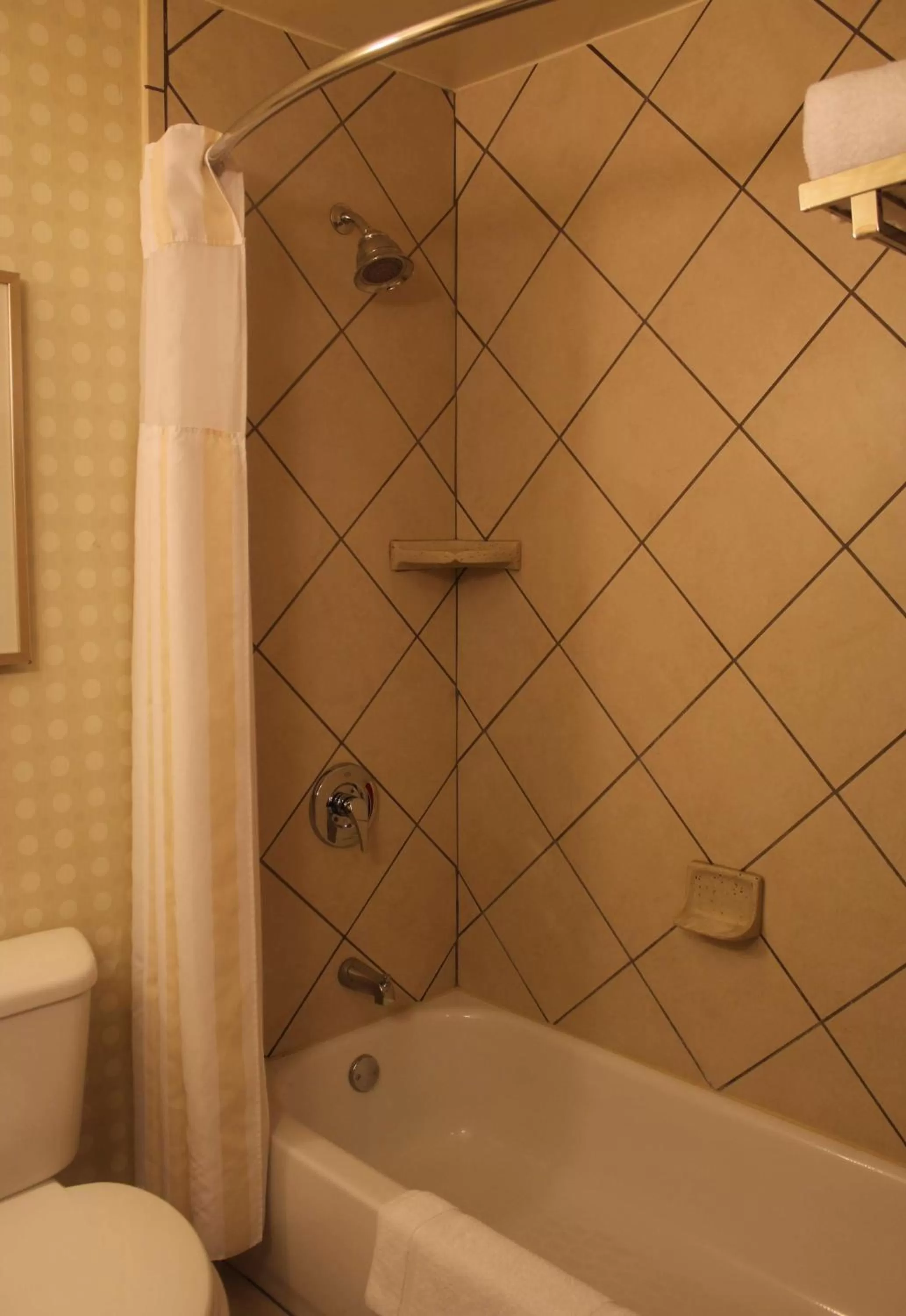 Bathroom in Hilton Garden Inn Starkville