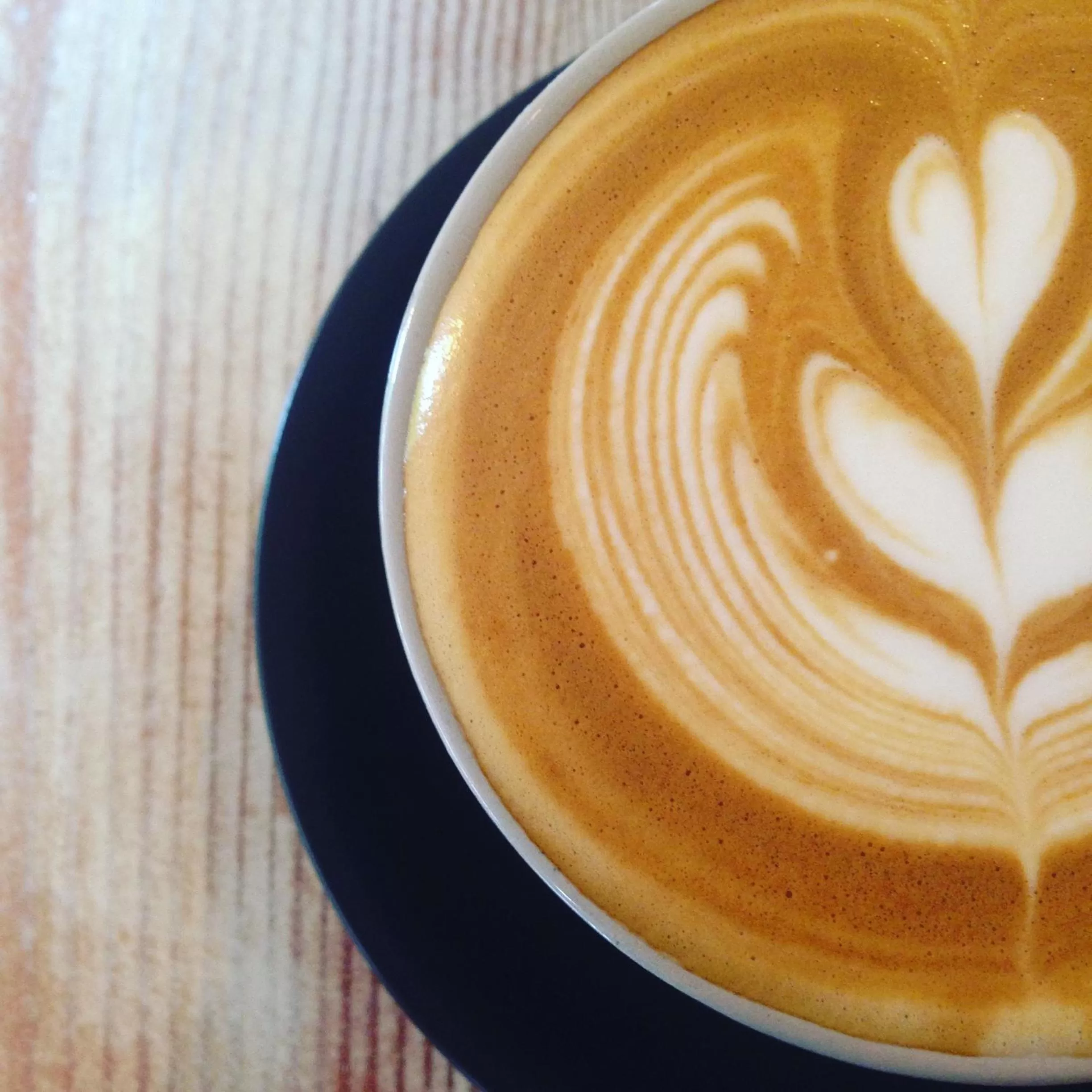 Breakfast in Ten Dollar Town Motel